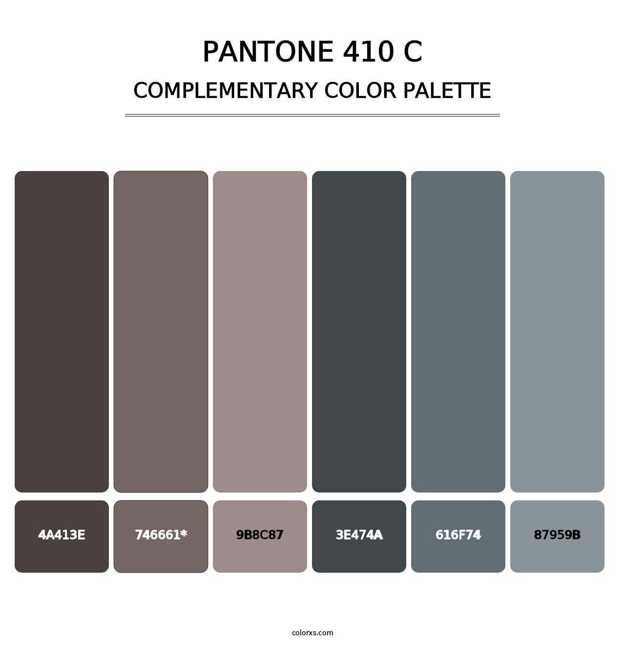 PANTONE 410 C - Complementary Color Palette