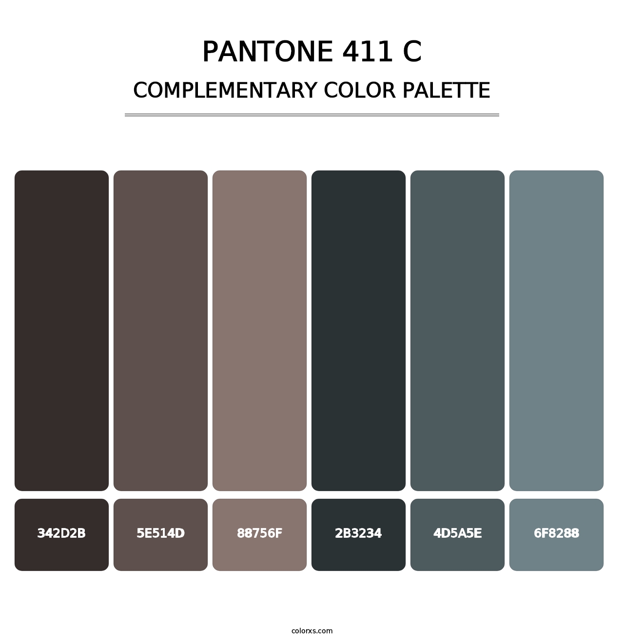 PANTONE 411 C - Complementary Color Palette