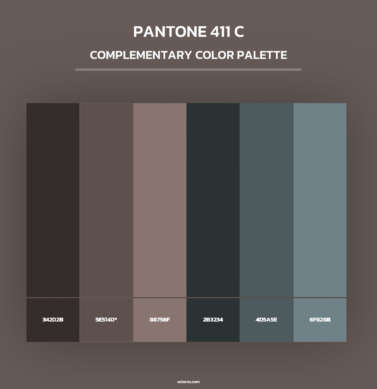 PANTONE 411 C - Complementary Color Palette