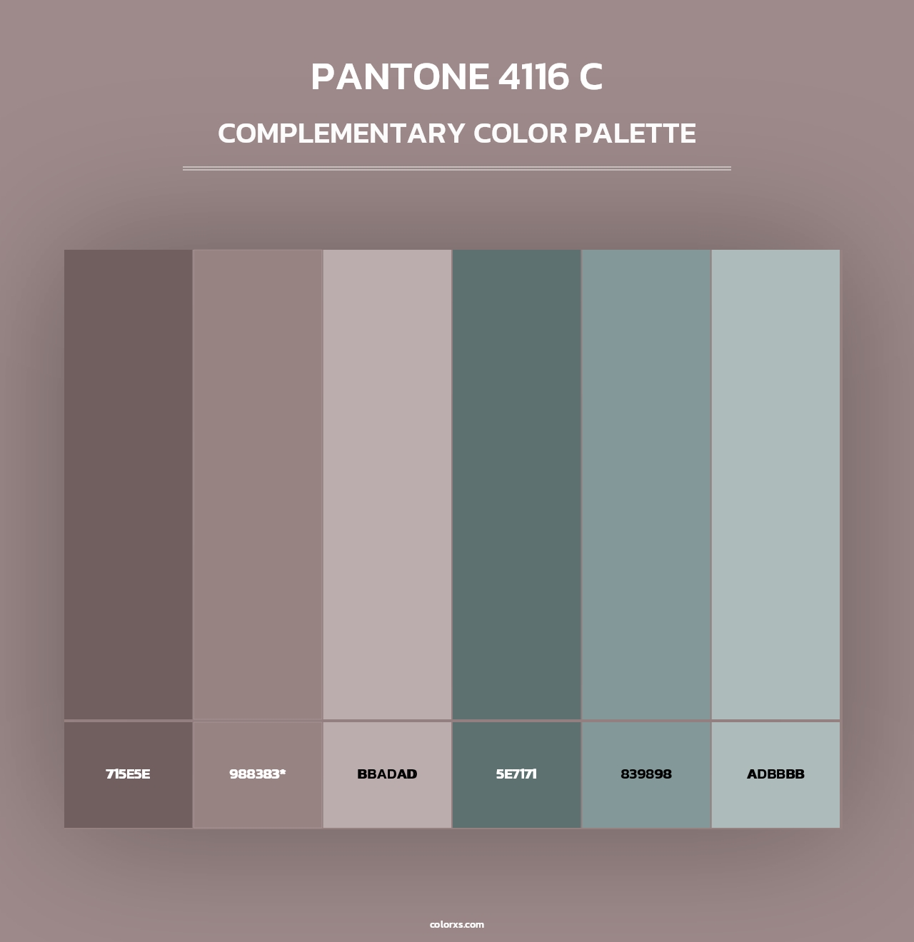 PANTONE 4116 C - Complementary Color Palette