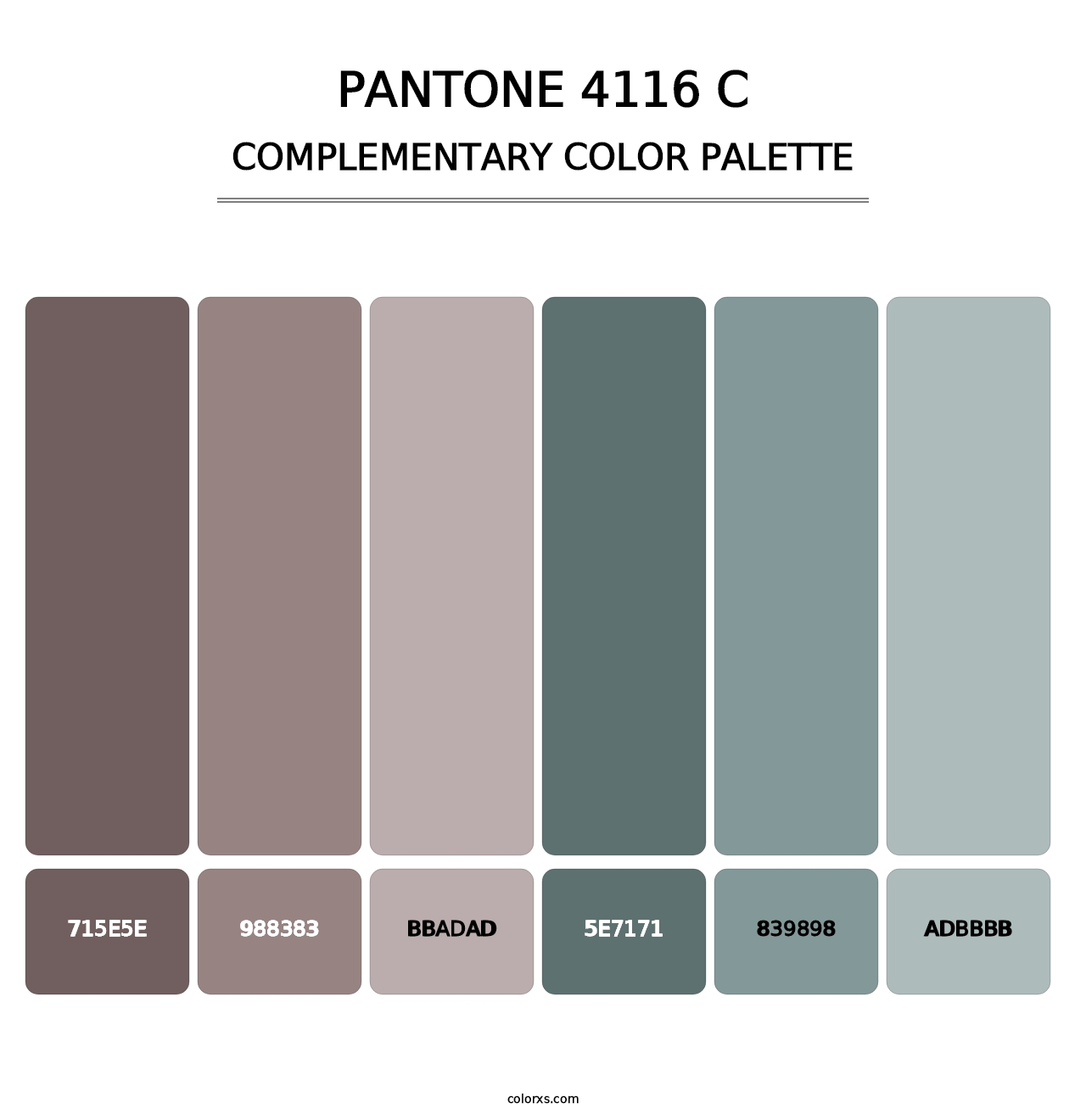 PANTONE 4116 C - Complementary Color Palette