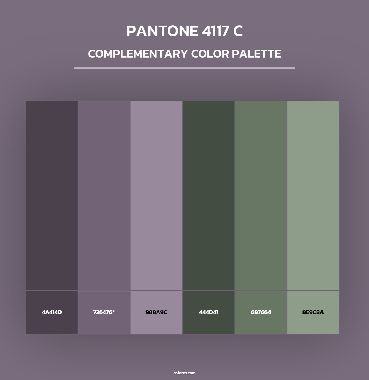 PANTONE 4117 C - Complementary Color Palette