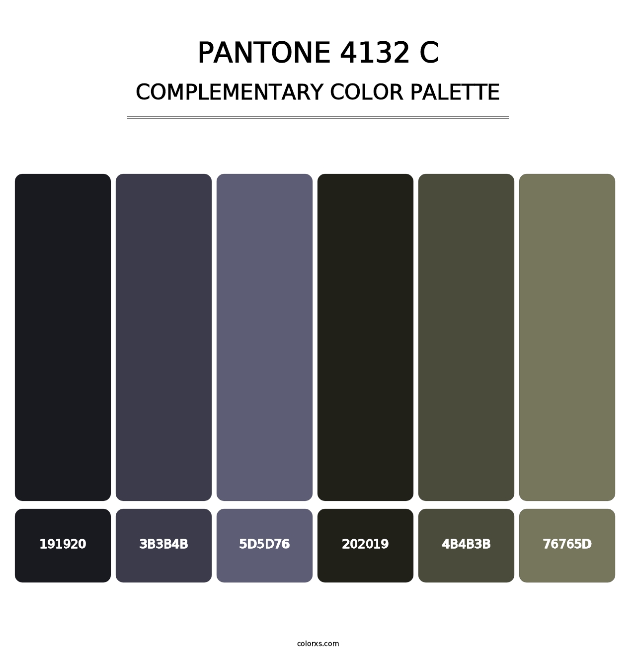 PANTONE 4132 C - Complementary Color Palette