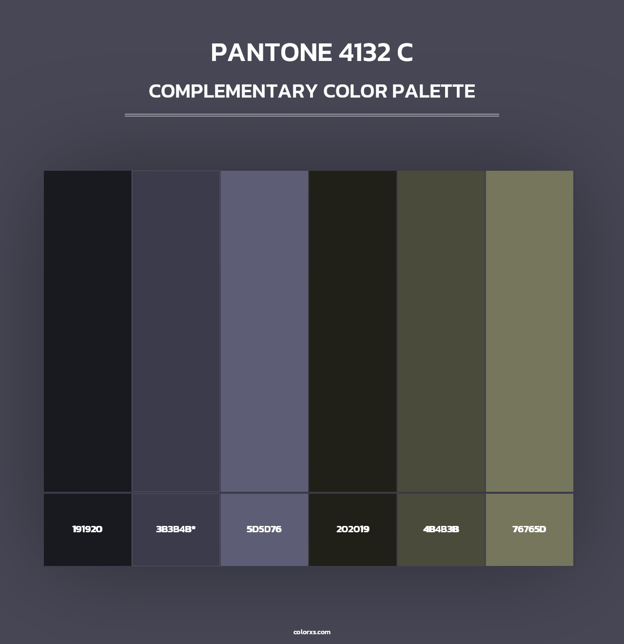 PANTONE 4132 C - Complementary Color Palette
