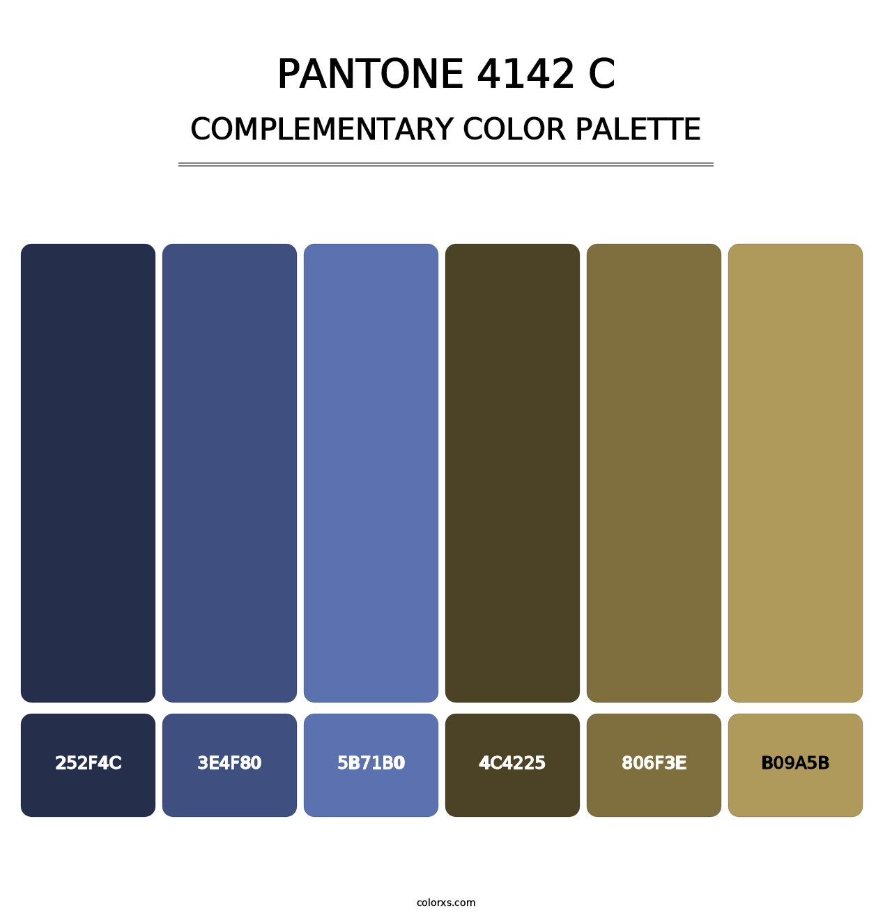 PANTONE 4142 C - Complementary Color Palette