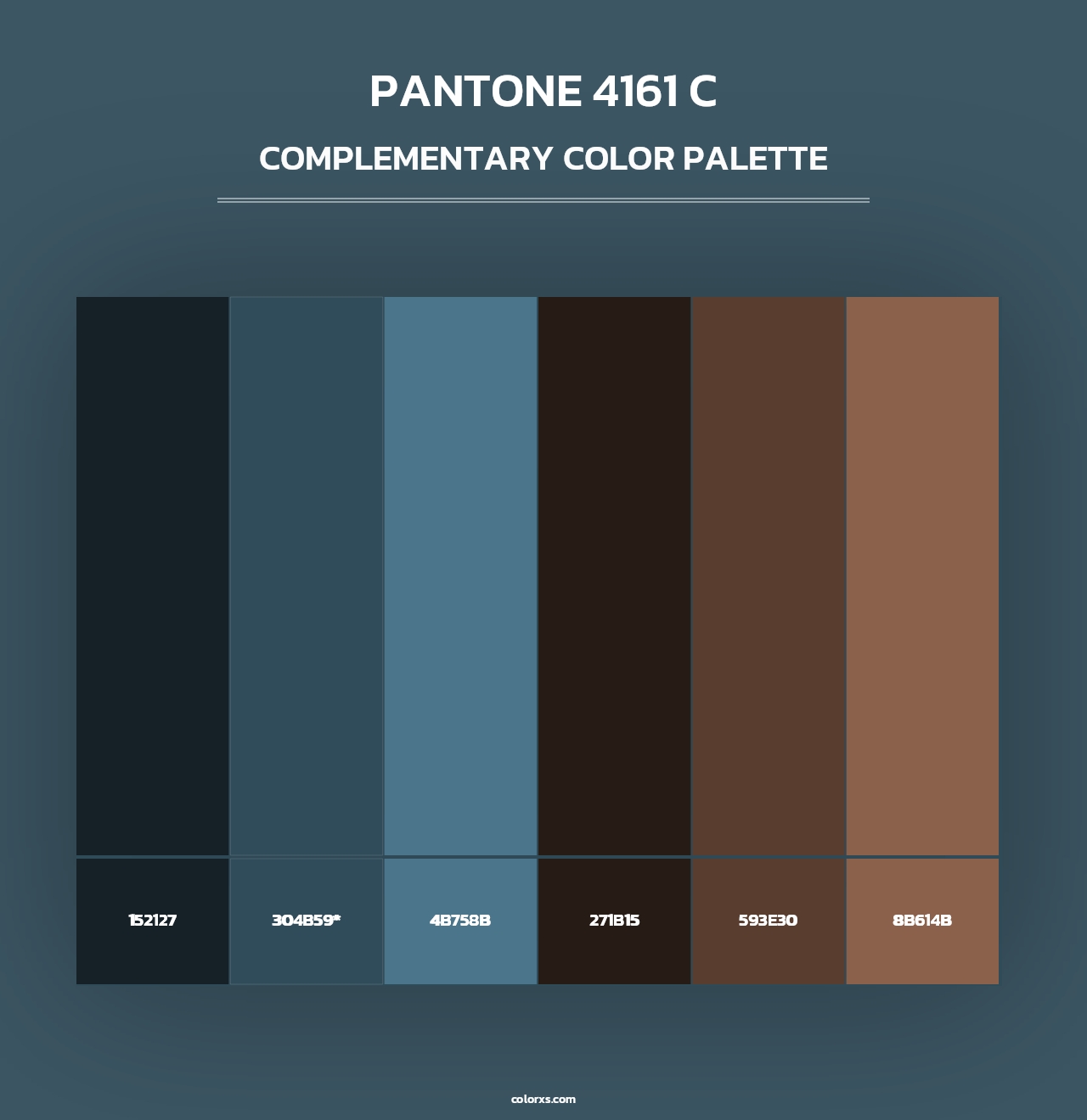 PANTONE 4161 C - Complementary Color Palette
