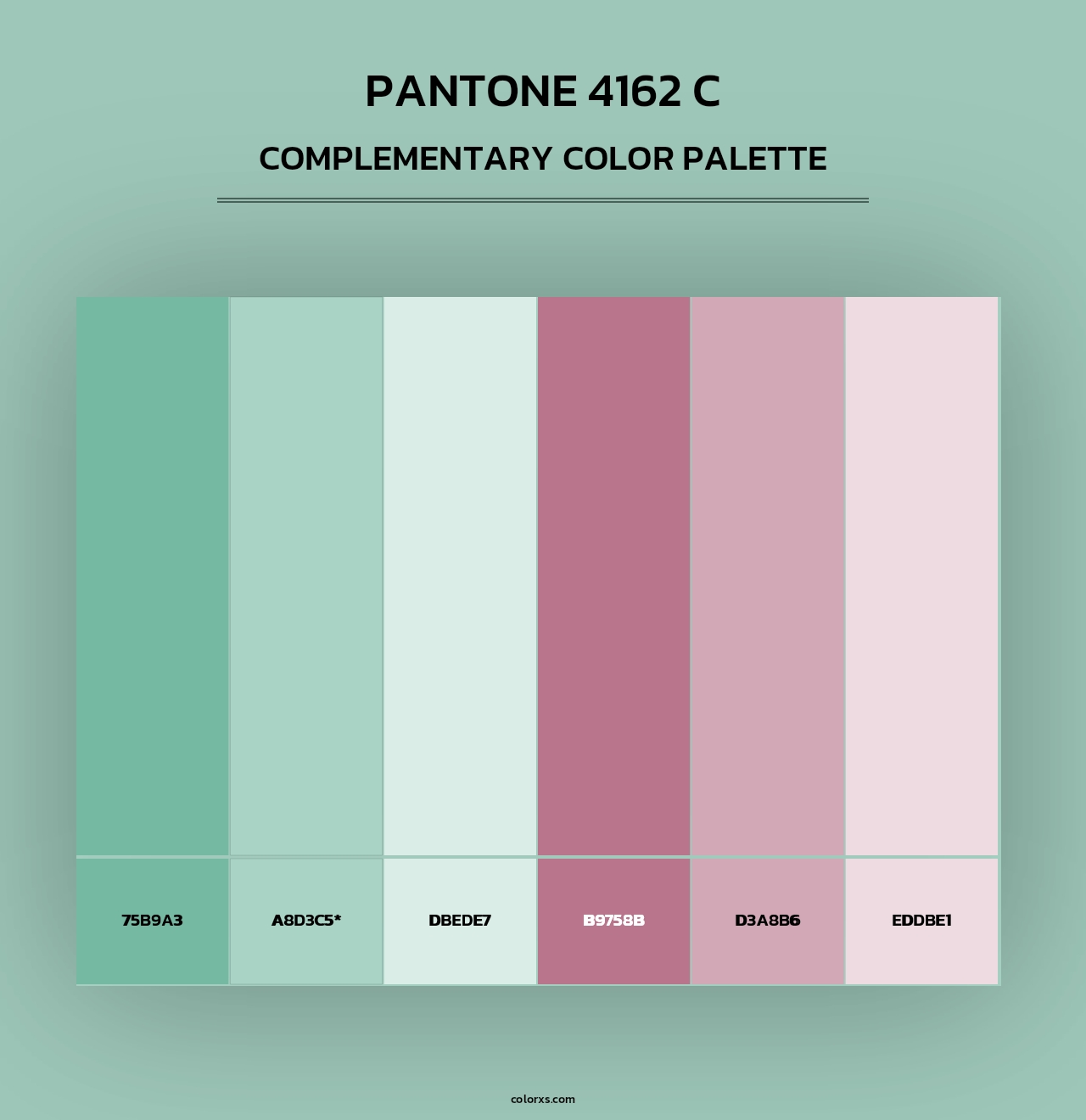 PANTONE 4162 C - Complementary Color Palette