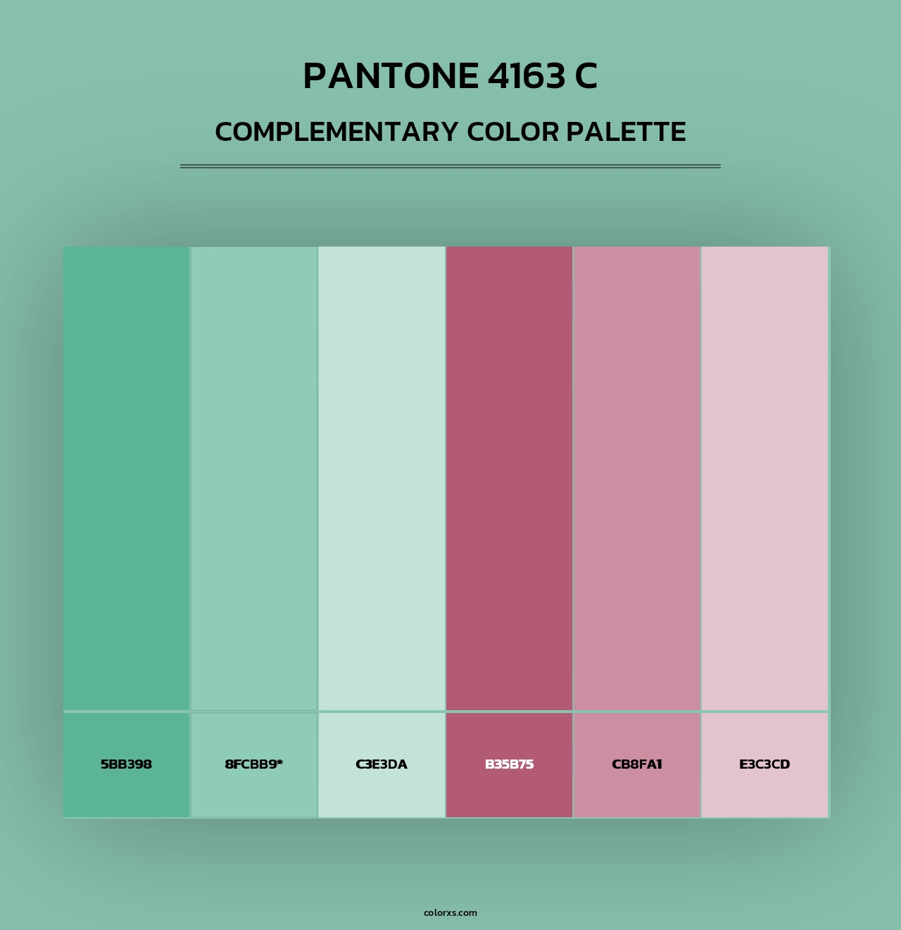 PANTONE 4163 C - Complementary Color Palette