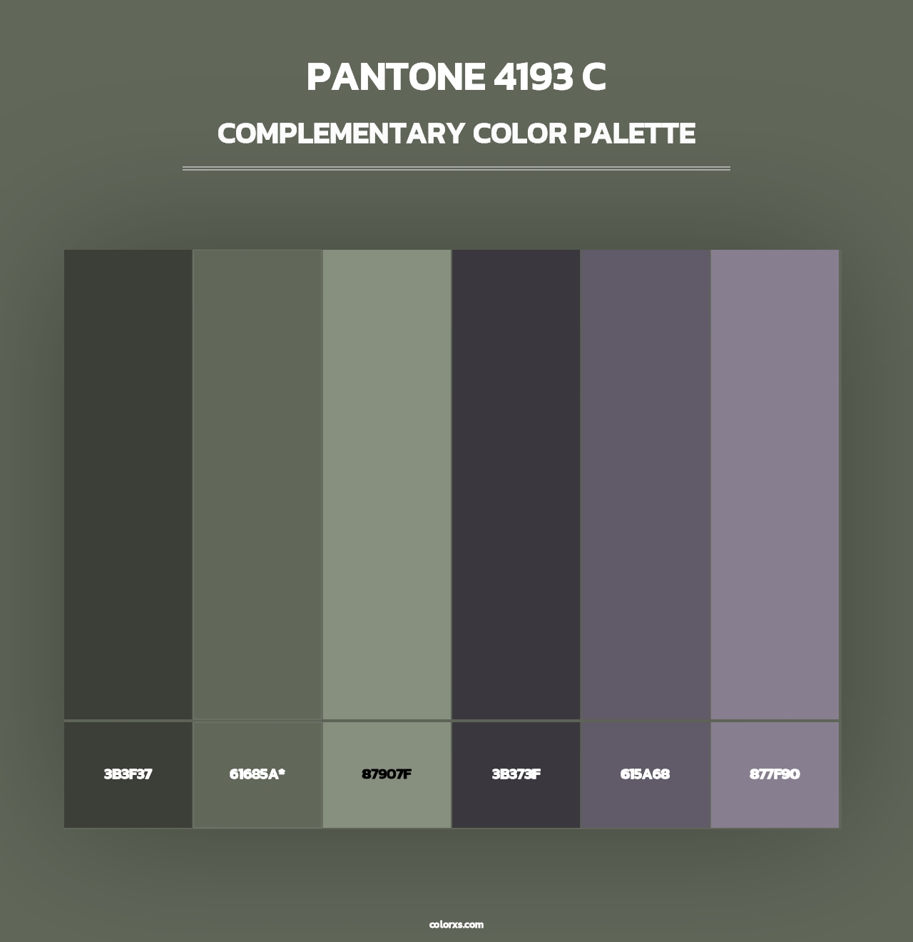 PANTONE 4193 C - Complementary Color Palette
