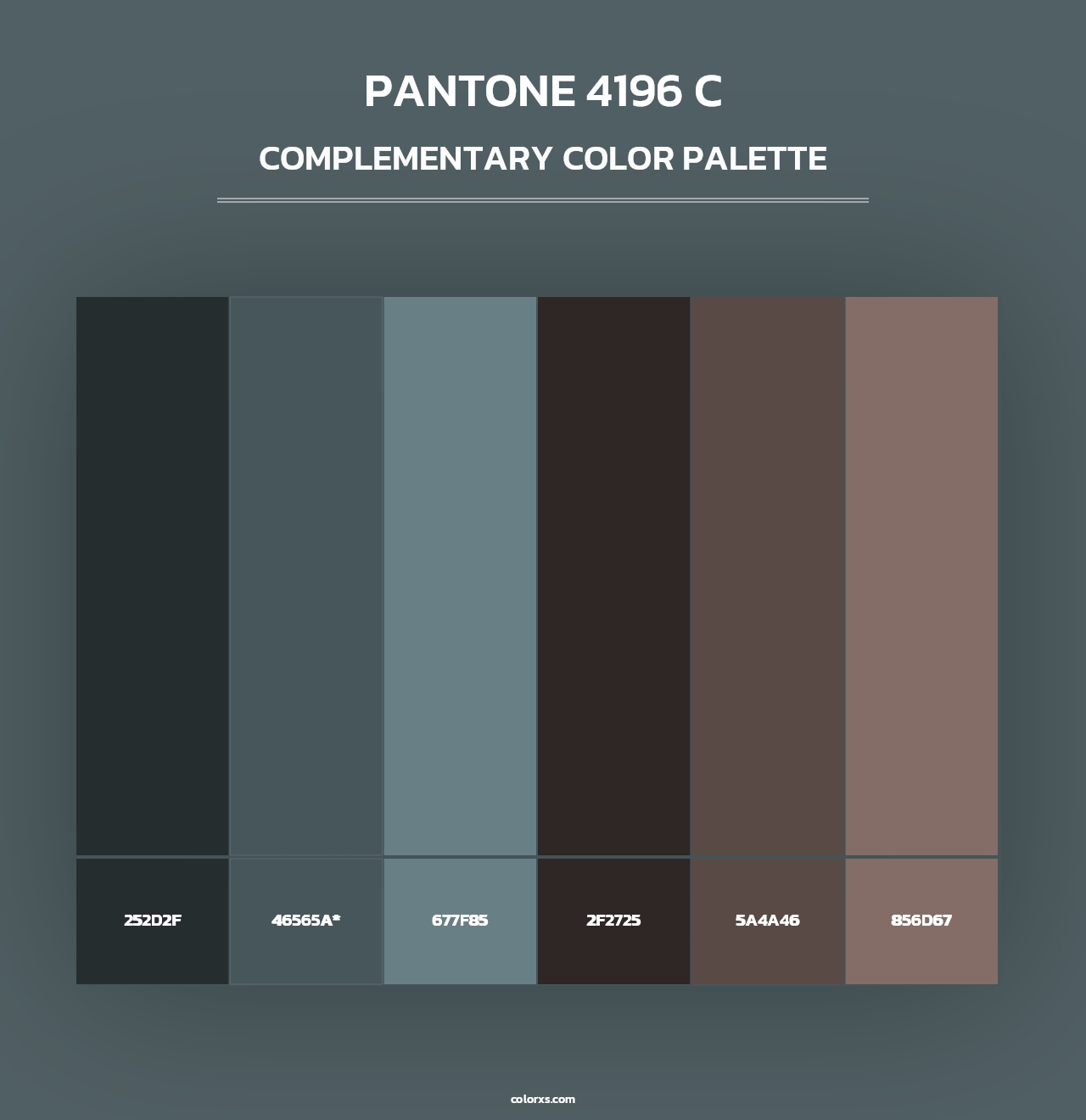 PANTONE 4196 C - Complementary Color Palette