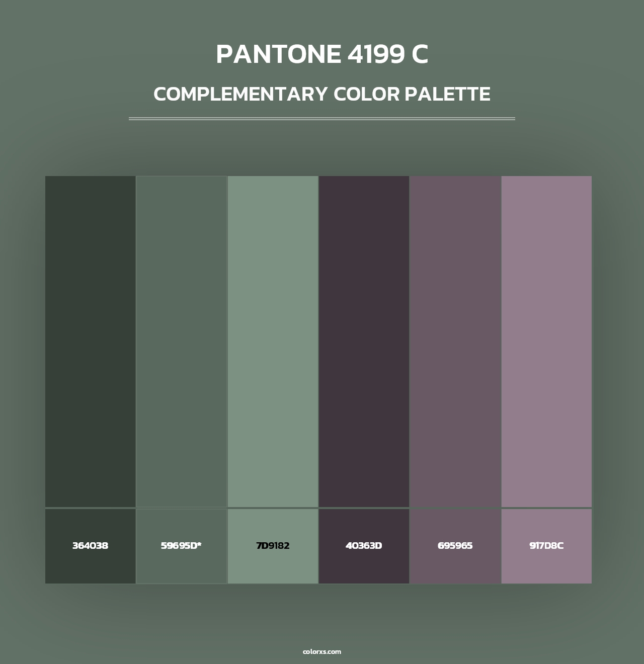 PANTONE 4199 C - Complementary Color Palette