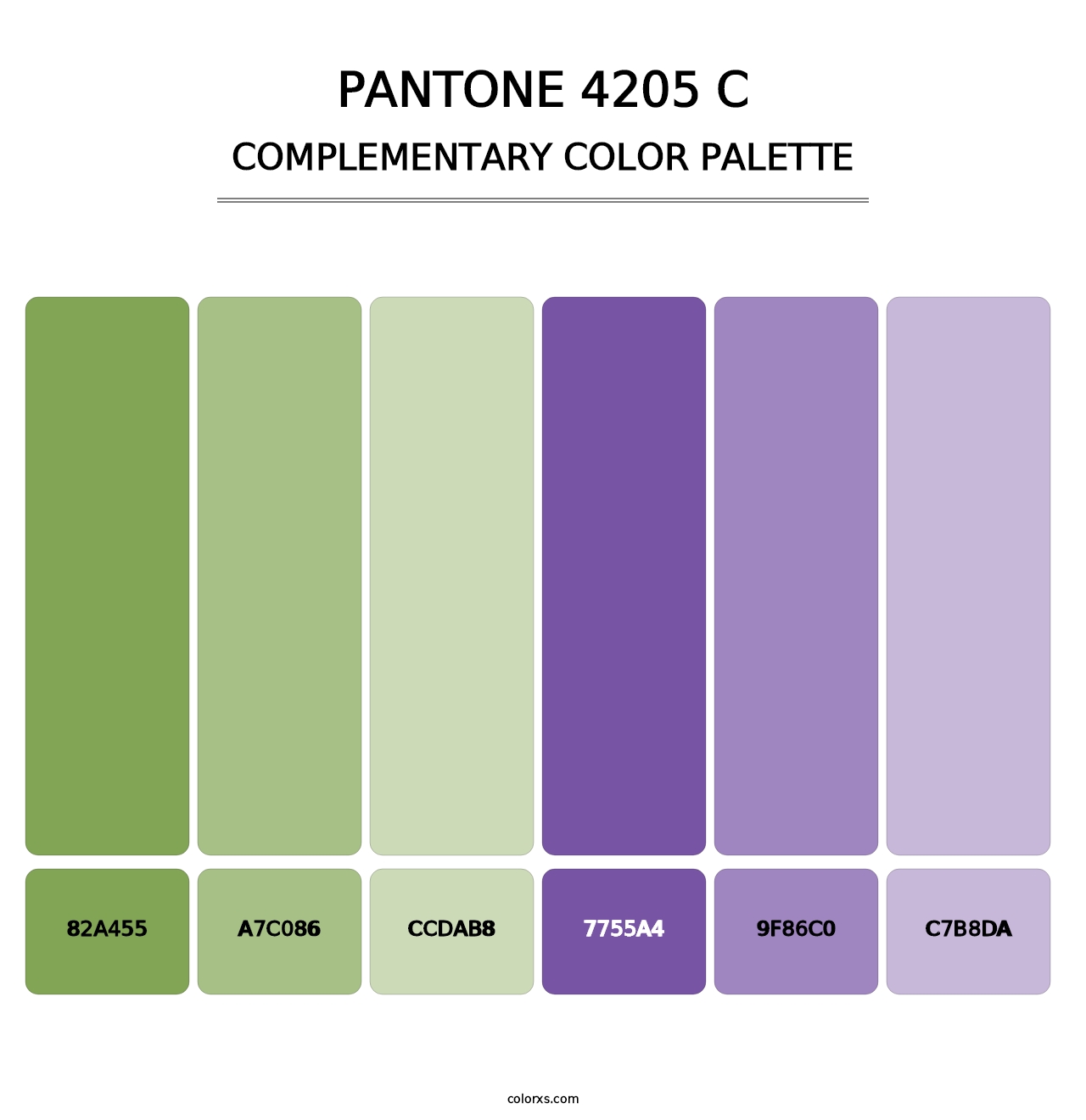 PANTONE 4205 C - Complementary Color Palette