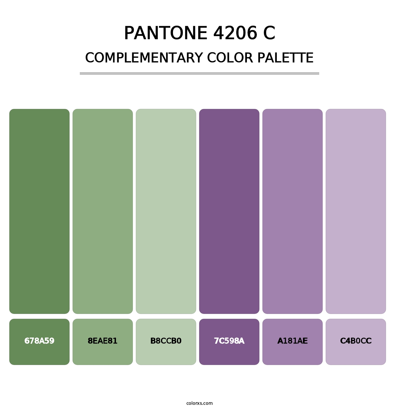PANTONE 4206 C - Complementary Color Palette