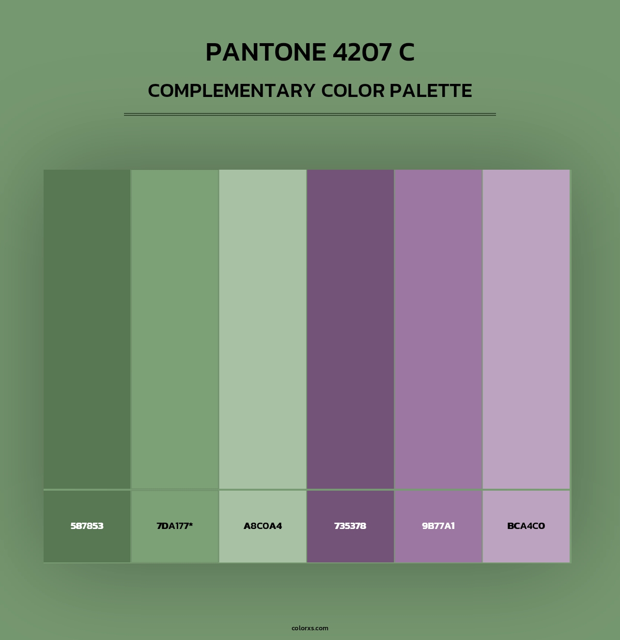PANTONE 4207 C - Complementary Color Palette