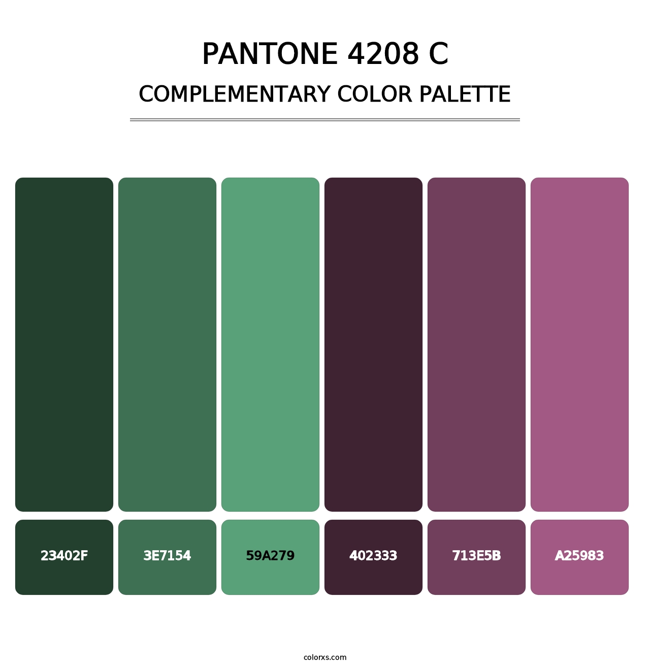PANTONE 4208 C - Complementary Color Palette