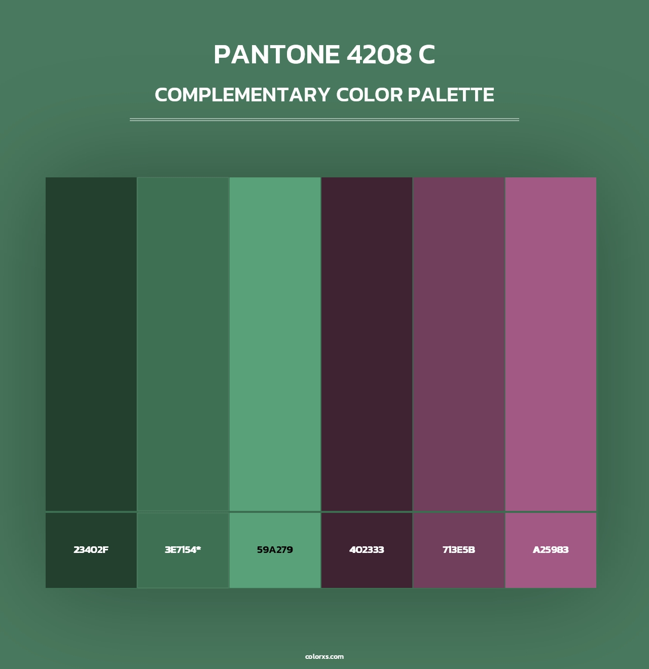 PANTONE 4208 C - Complementary Color Palette