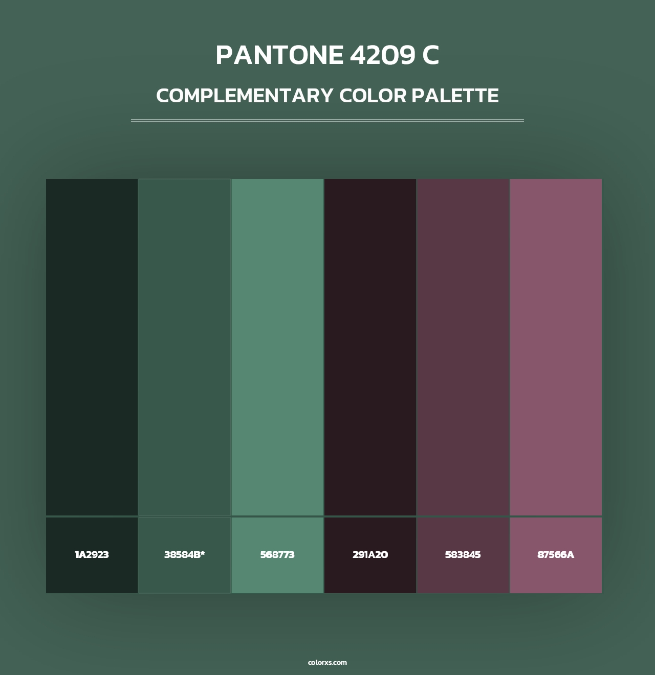 PANTONE 4209 C - Complementary Color Palette