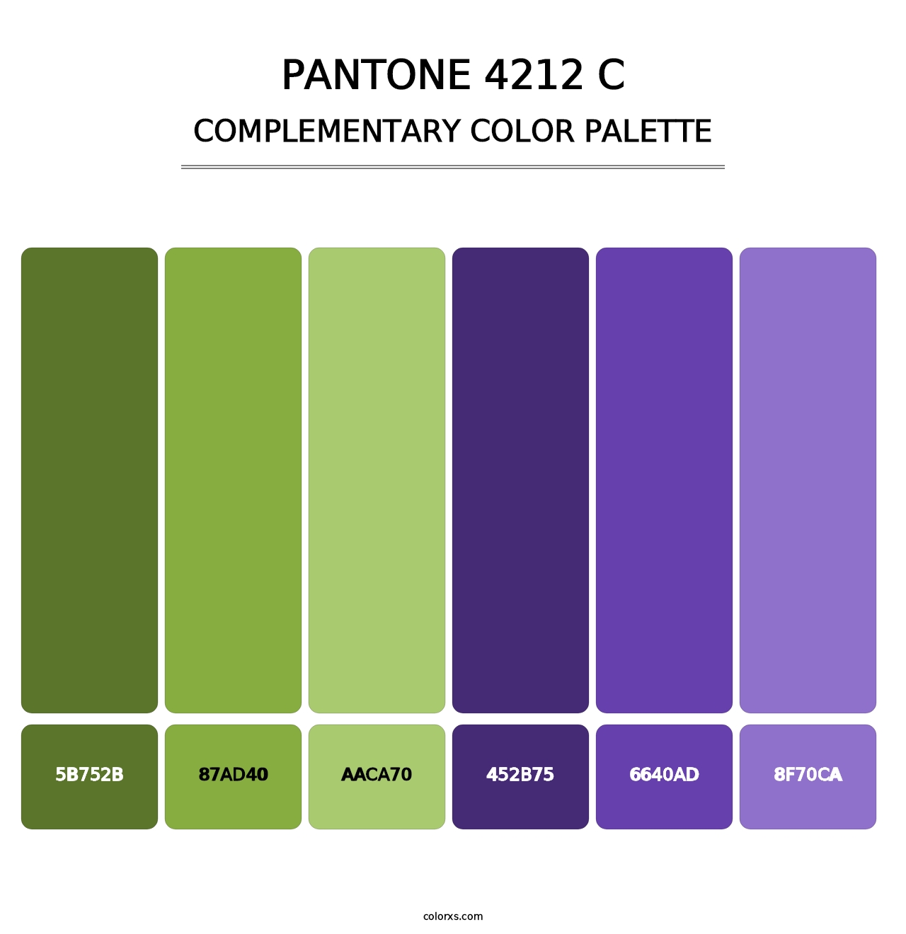 PANTONE 4212 C - Complementary Color Palette