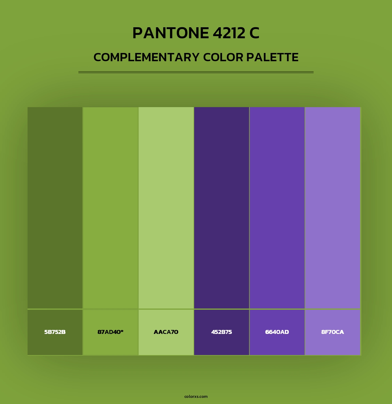 PANTONE 4212 C - Complementary Color Palette
