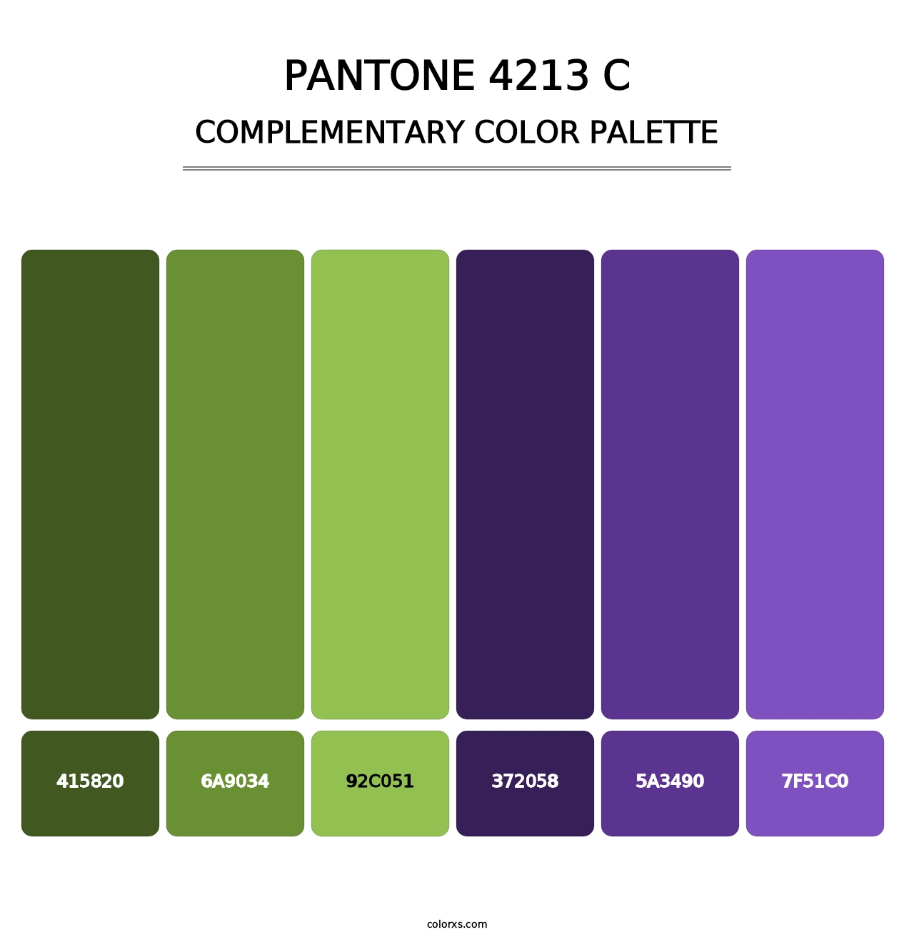 PANTONE 4213 C - Complementary Color Palette