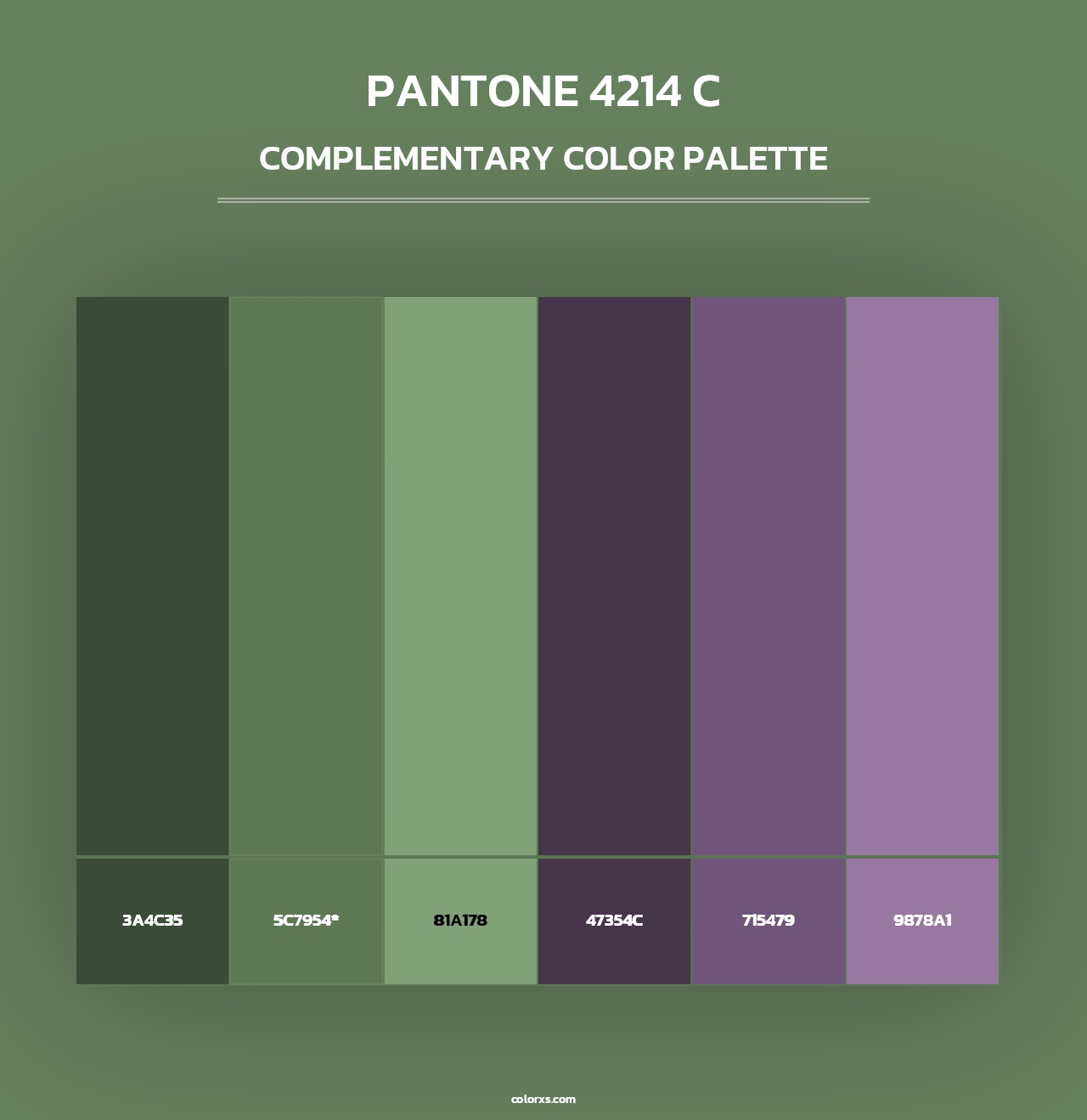 PANTONE 4214 C - Complementary Color Palette