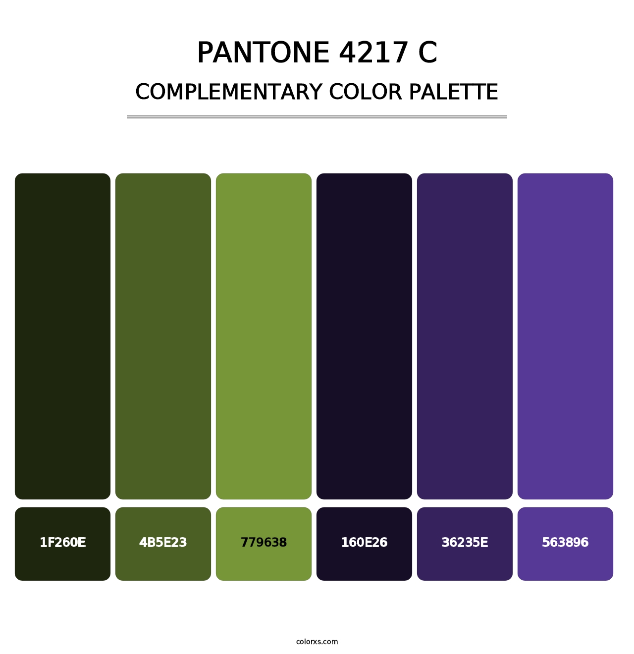 PANTONE 4217 C - Complementary Color Palette