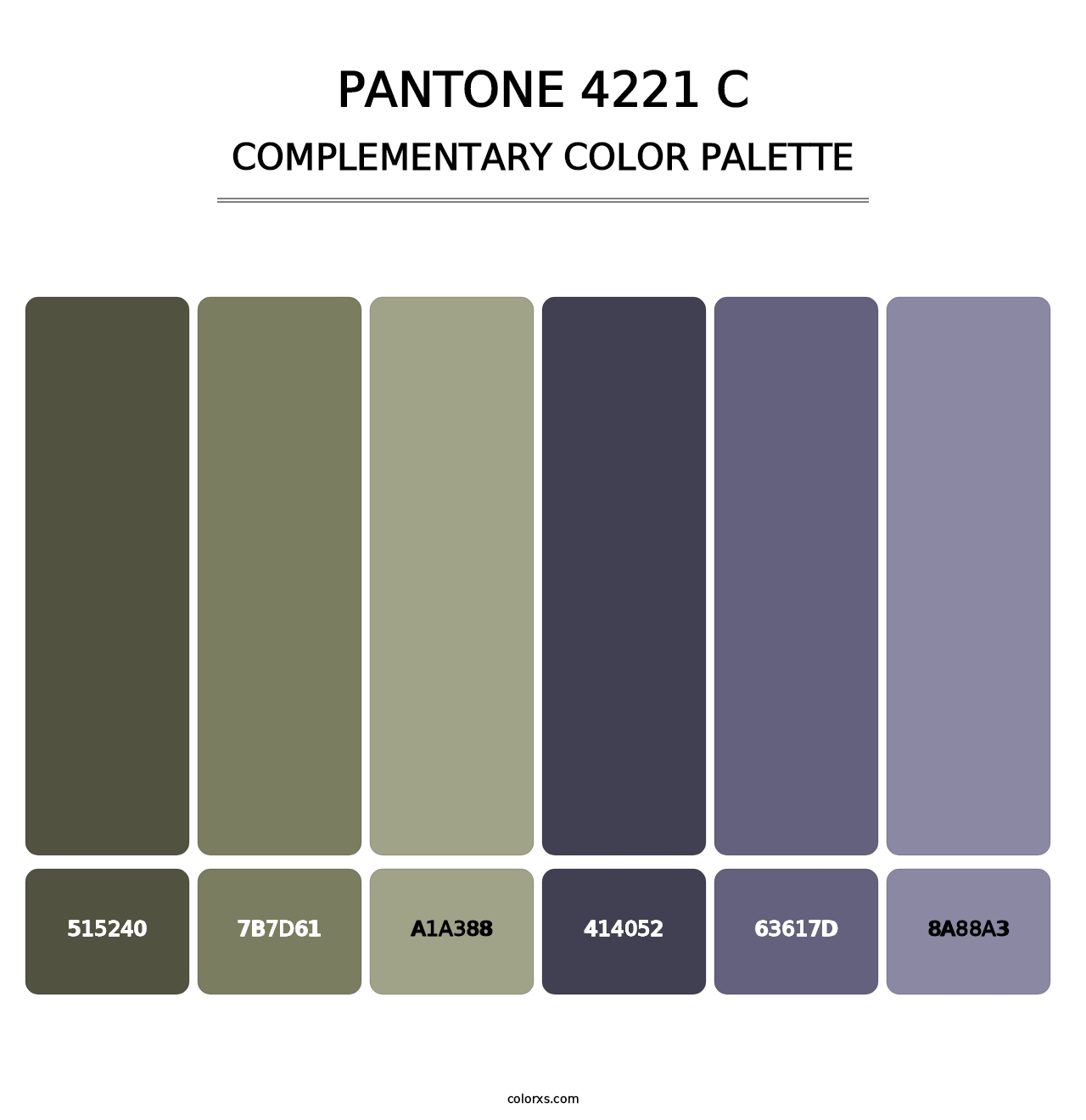 PANTONE 4221 C - Complementary Color Palette
