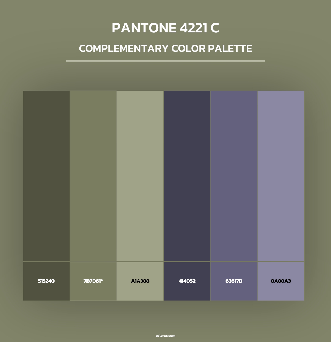 PANTONE 4221 C - Complementary Color Palette