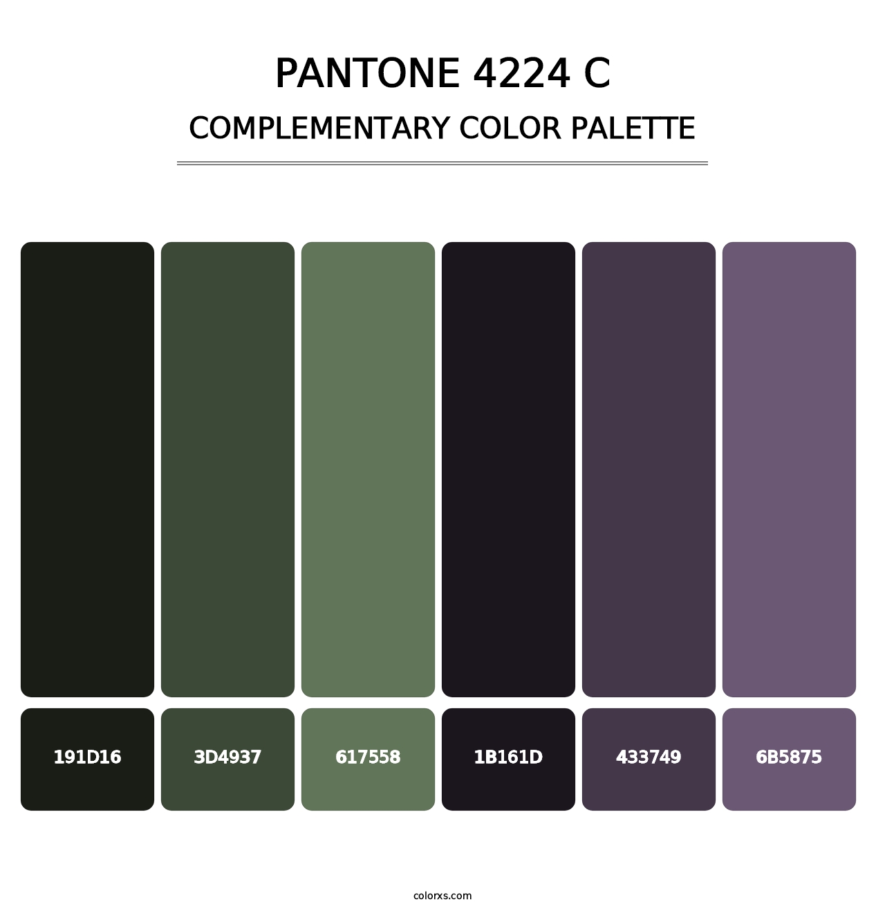 PANTONE 4224 C - Complementary Color Palette