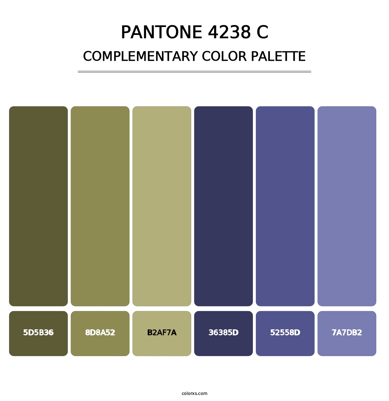 PANTONE 4238 C - Complementary Color Palette