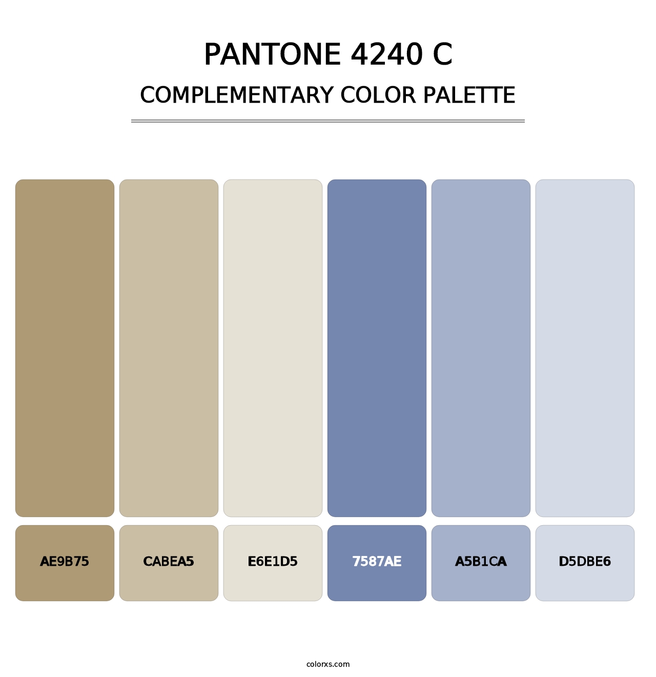 PANTONE 4240 C - Complementary Color Palette