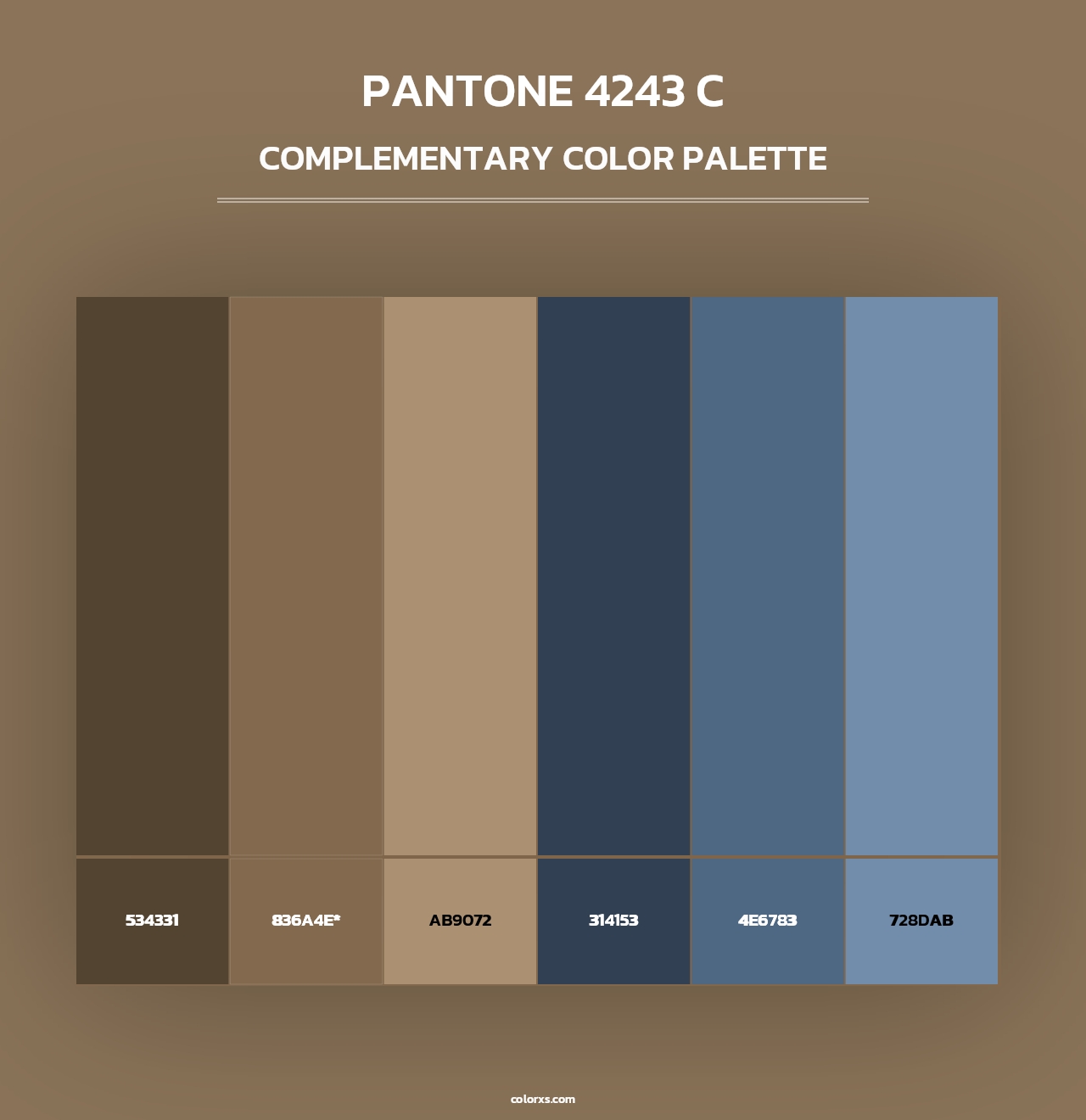 PANTONE 4243 C - Complementary Color Palette