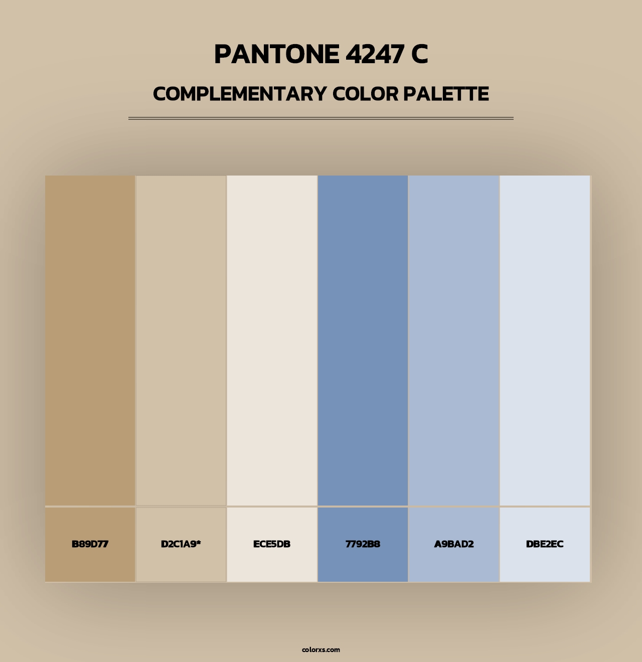 PANTONE 4247 C - Complementary Color Palette