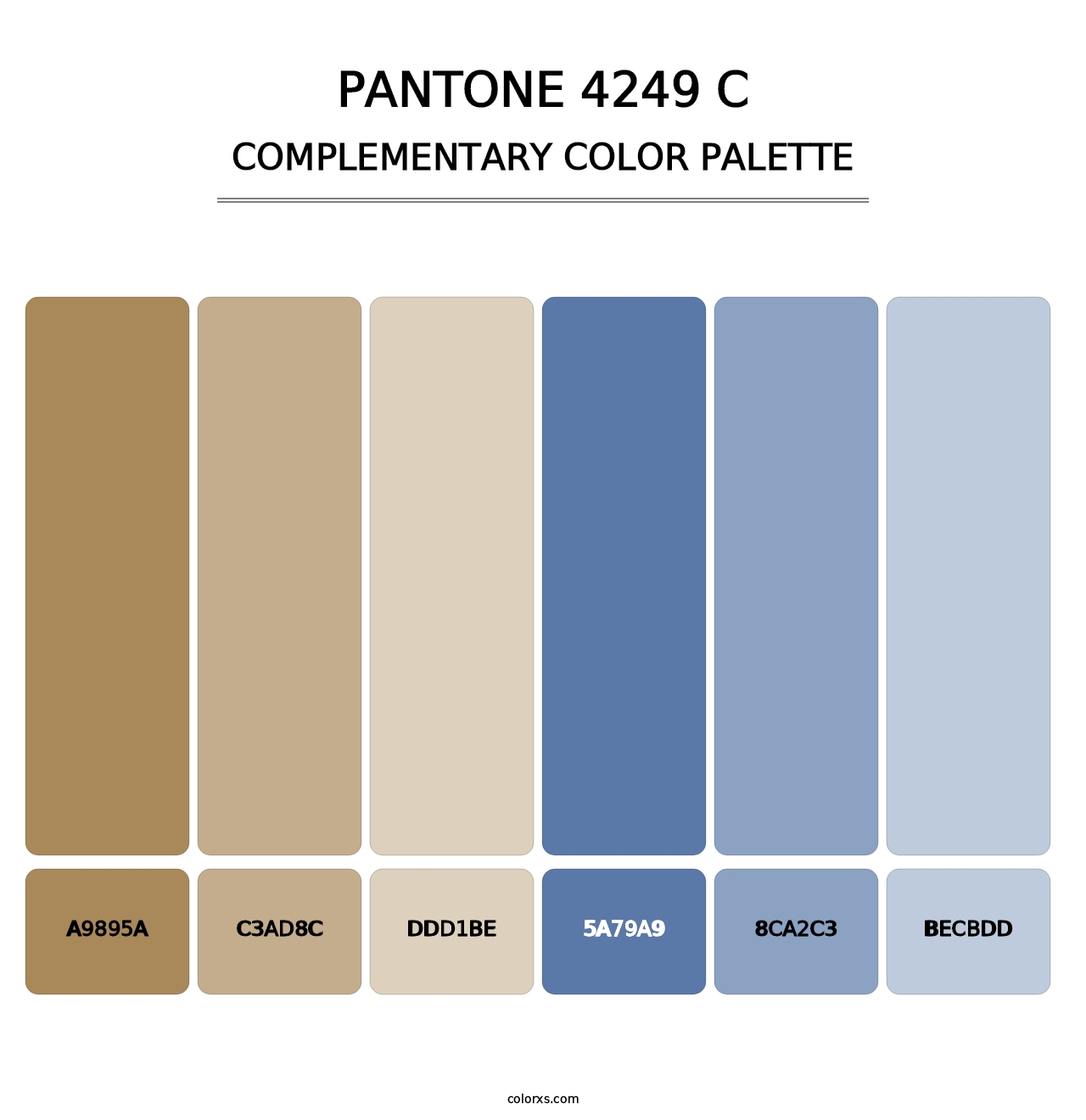 PANTONE 4249 C - Complementary Color Palette