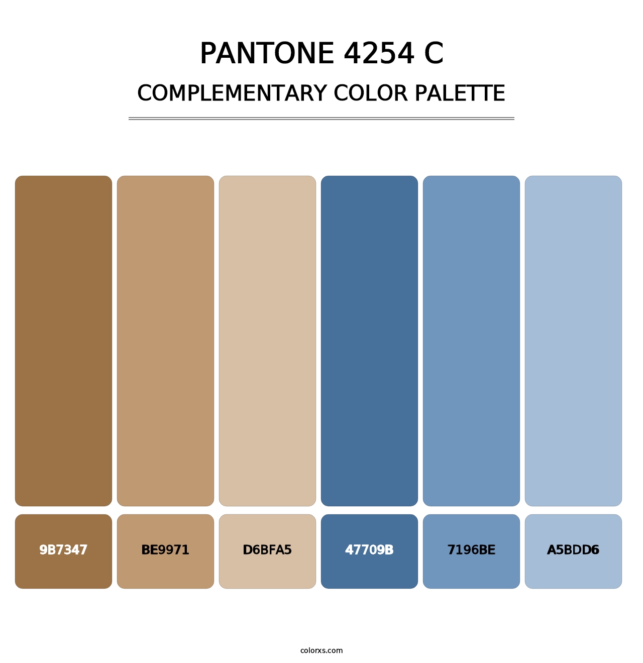 PANTONE 4254 C - Complementary Color Palette