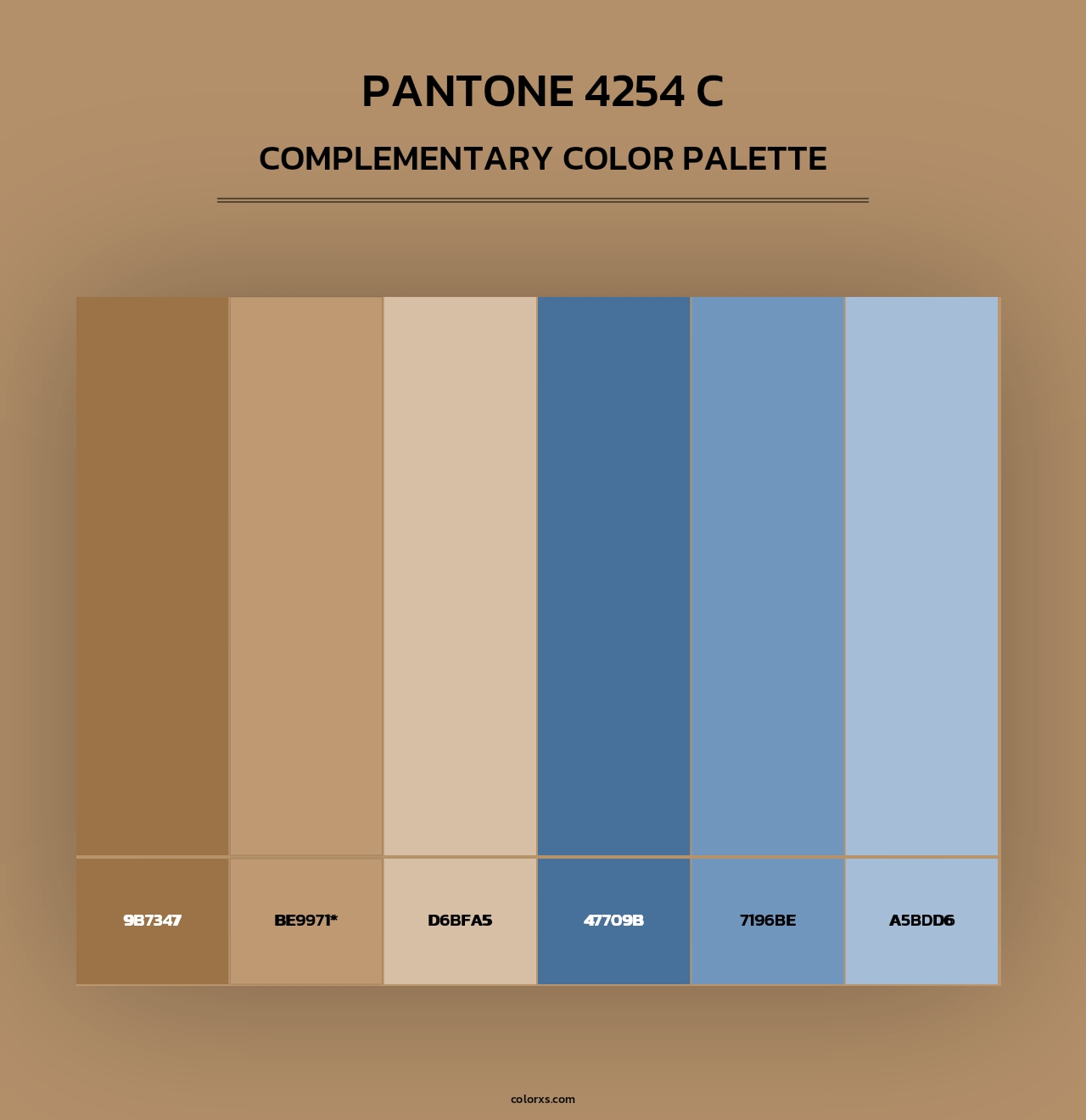 PANTONE 4254 C - Complementary Color Palette