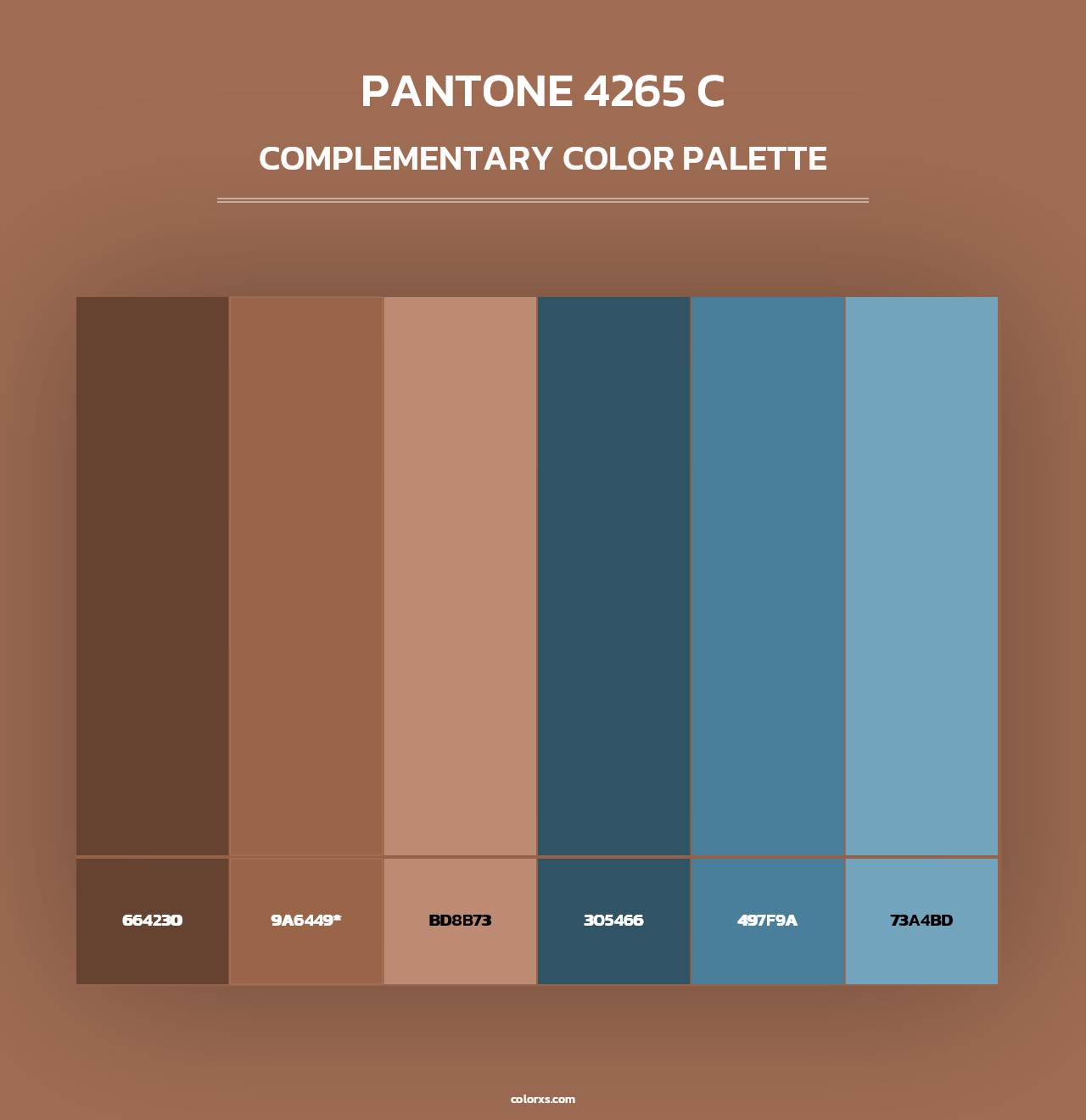 PANTONE 4265 C - Complementary Color Palette