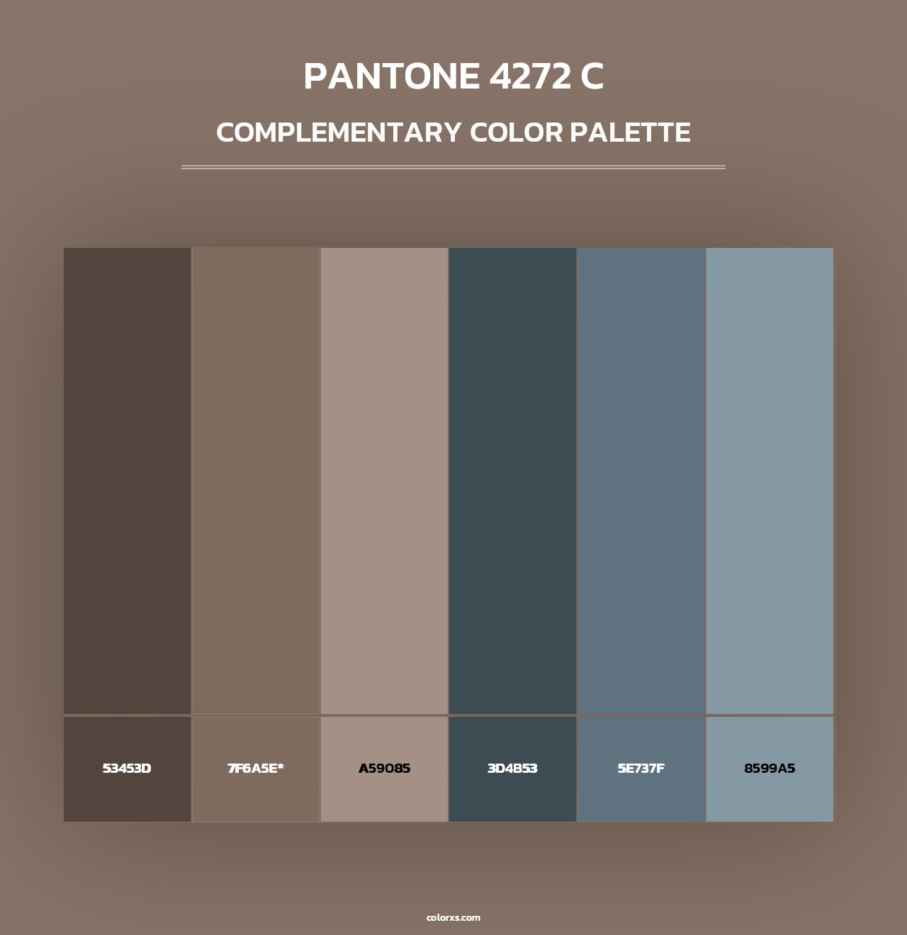 PANTONE 4272 C - Complementary Color Palette