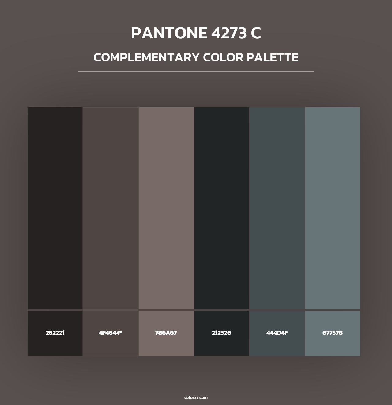 PANTONE 4273 C - Complementary Color Palette