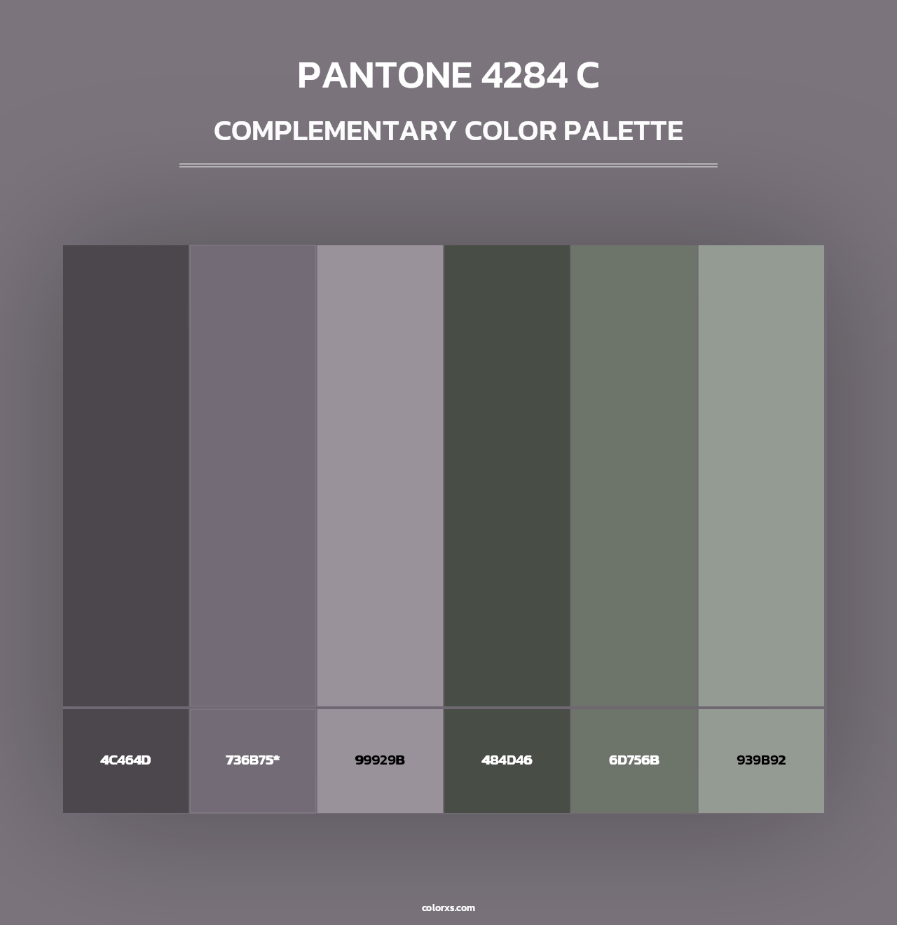 PANTONE 4284 C - Complementary Color Palette