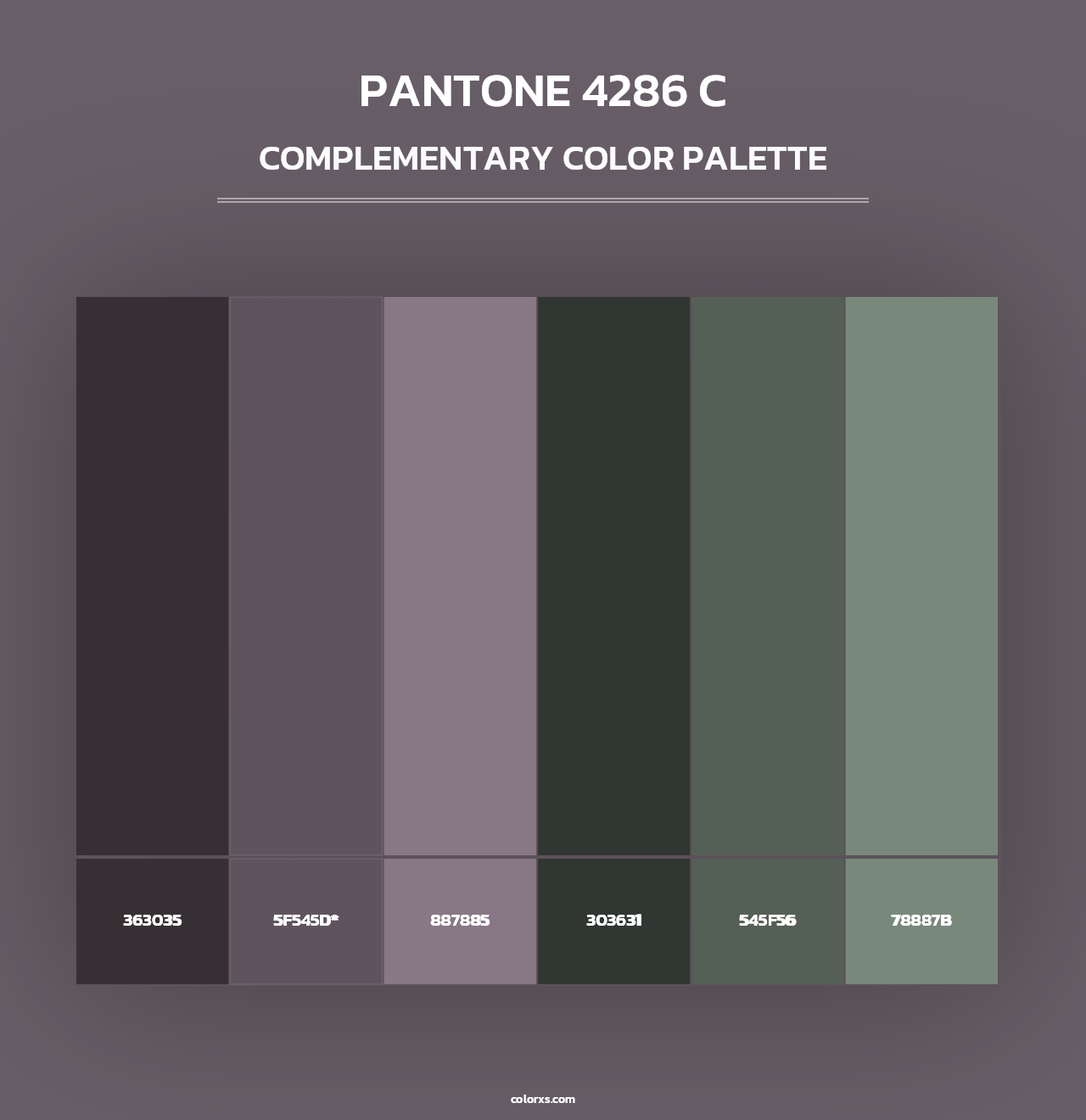 PANTONE 4286 C - Complementary Color Palette