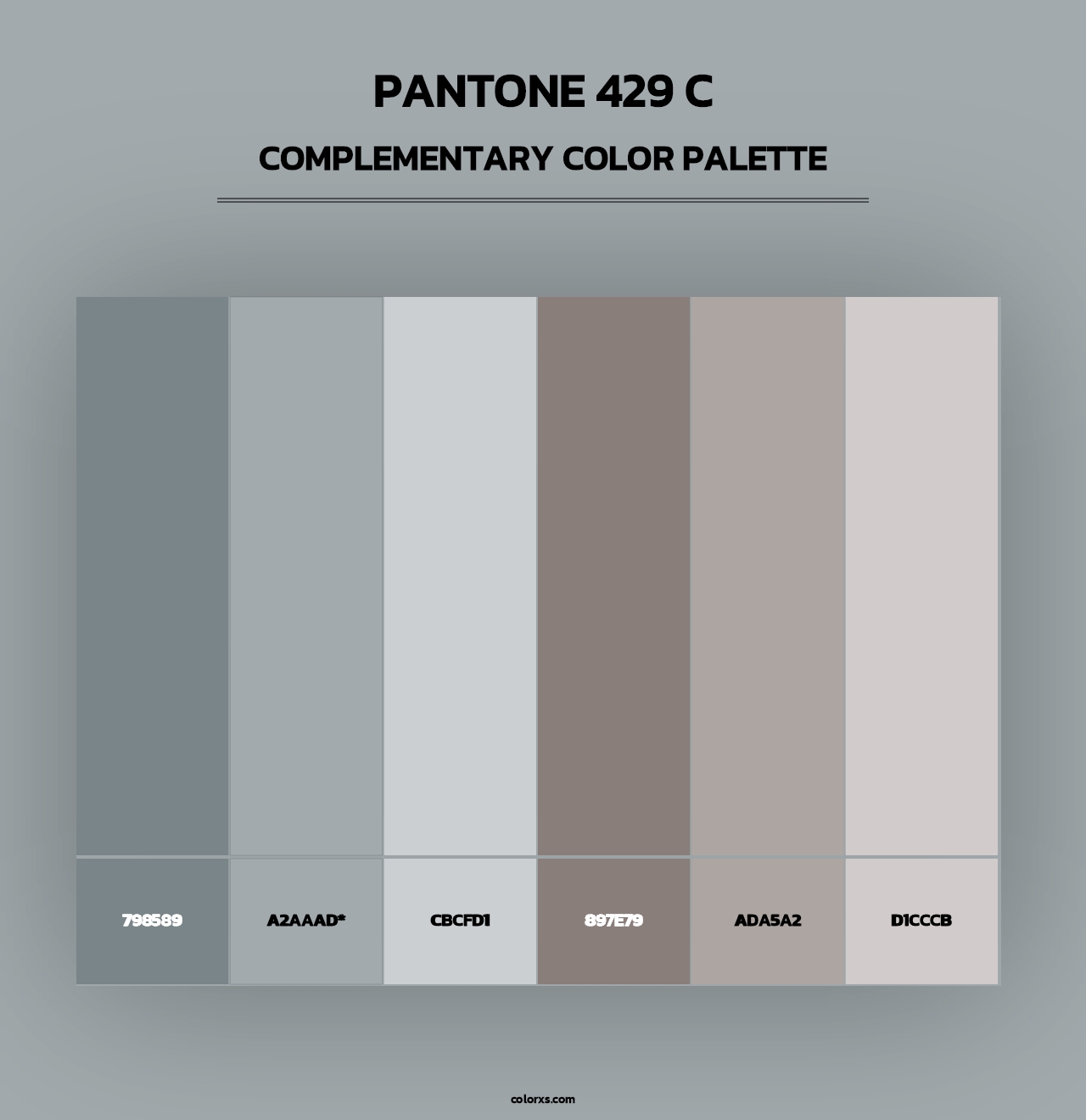 PANTONE 429 C - Complementary Color Palette