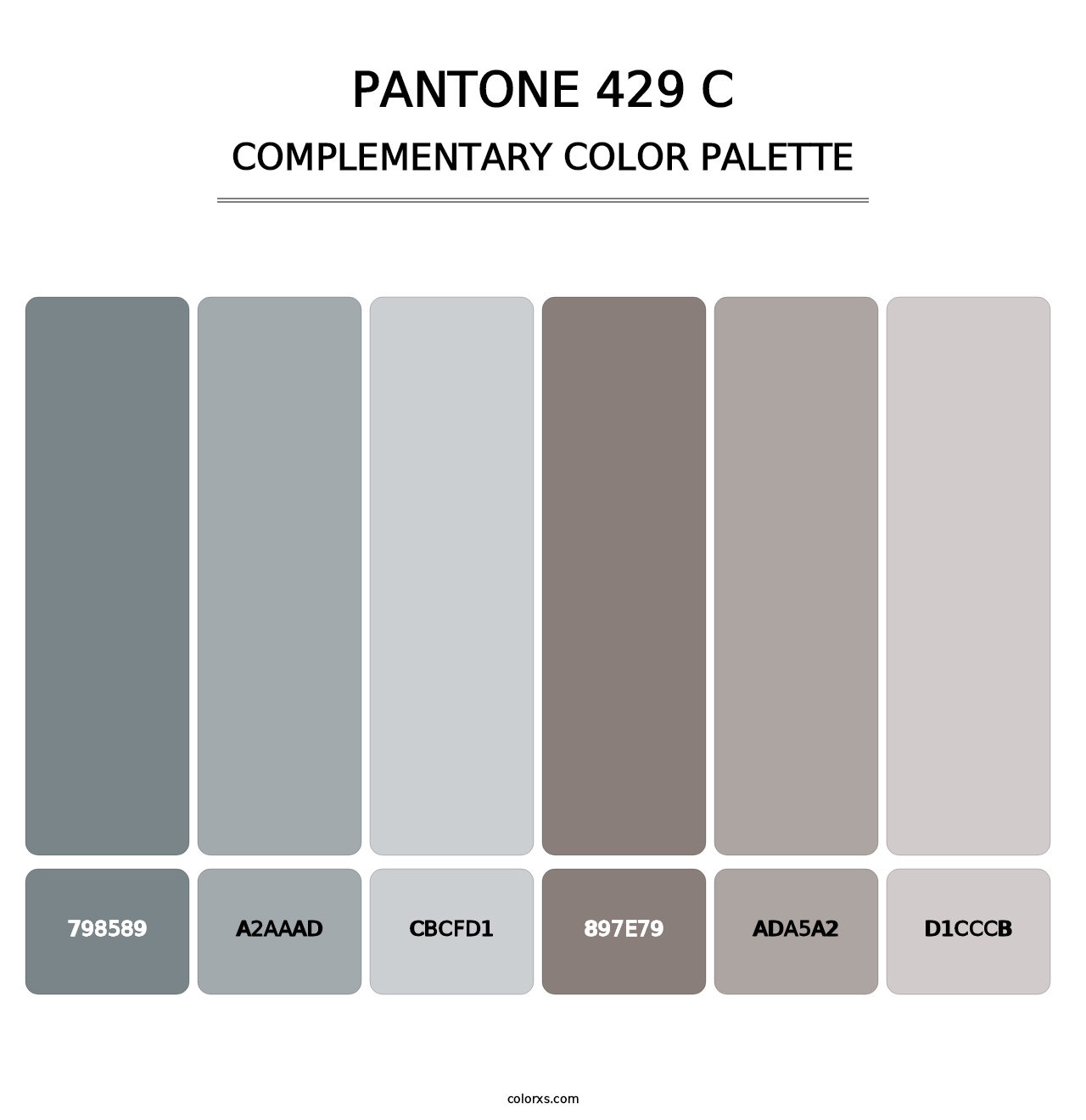 PANTONE 429 C - Complementary Color Palette