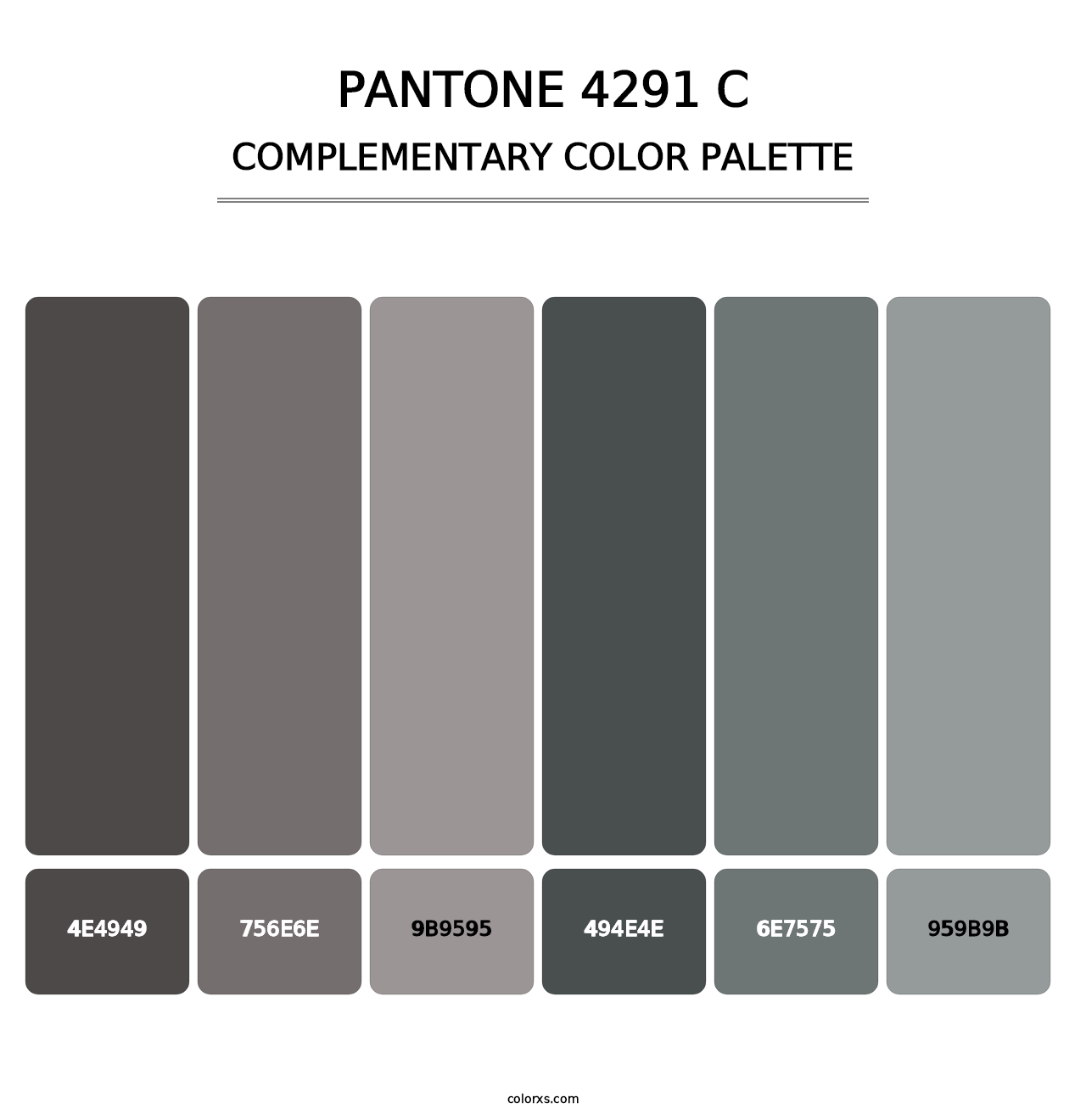 PANTONE 4291 C - Complementary Color Palette