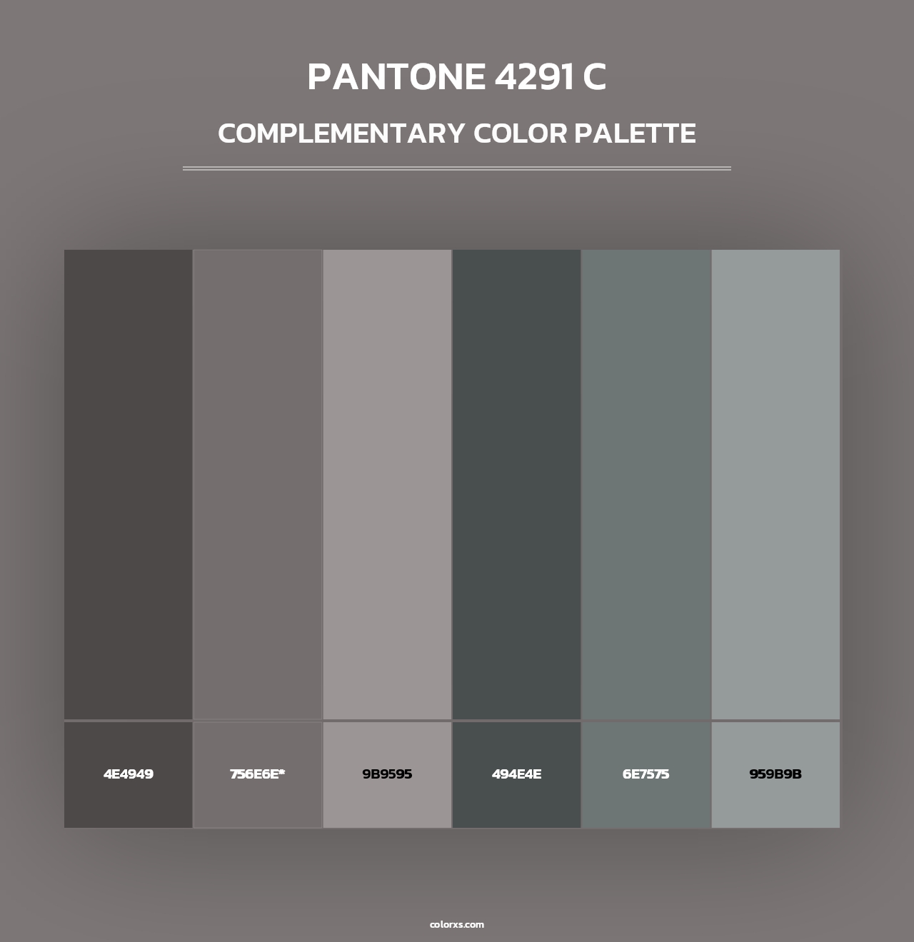 PANTONE 4291 C - Complementary Color Palette