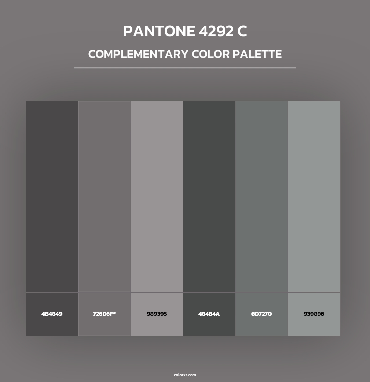 PANTONE 4292 C - Complementary Color Palette
