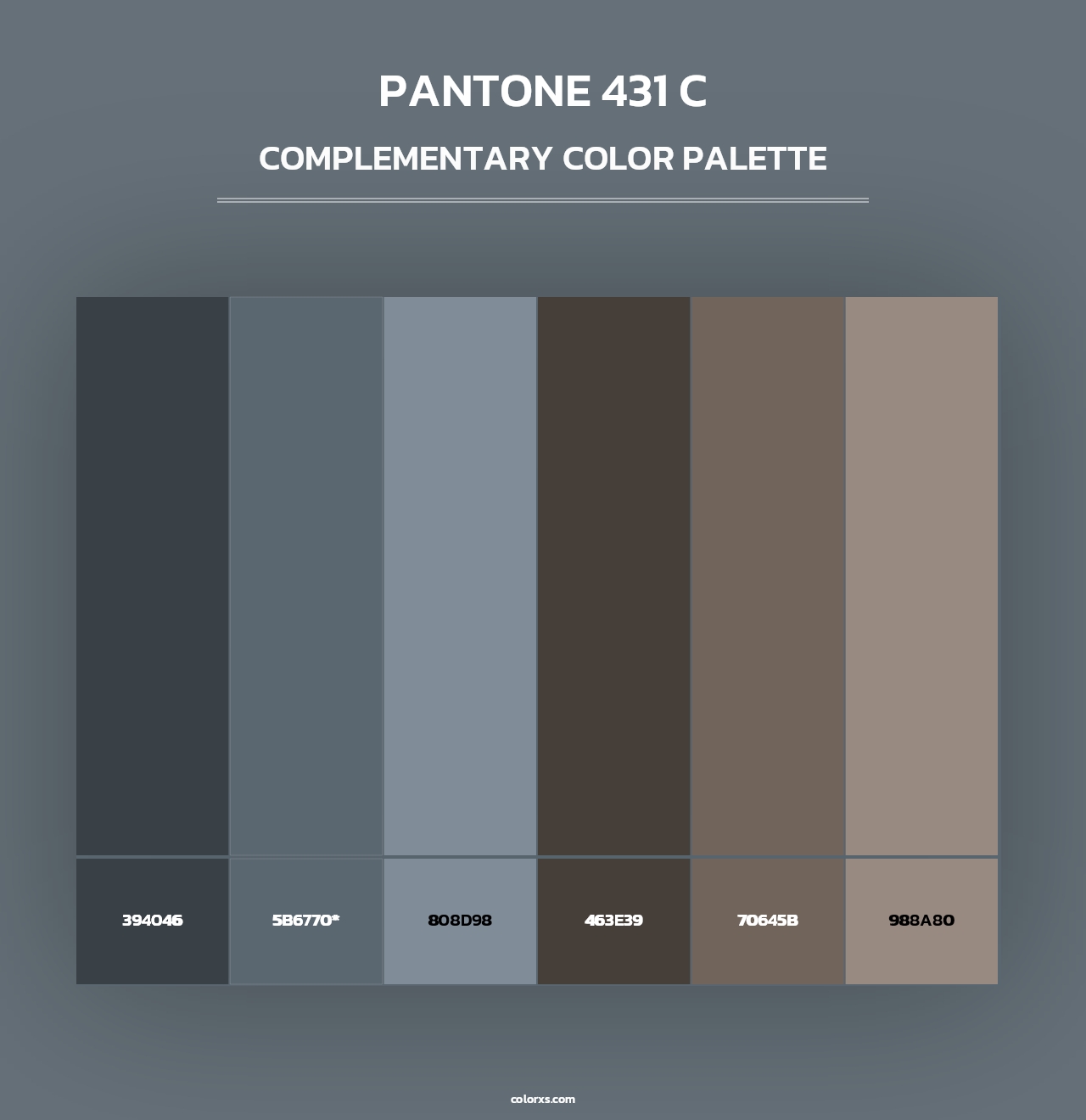 PANTONE 431 C - Complementary Color Palette