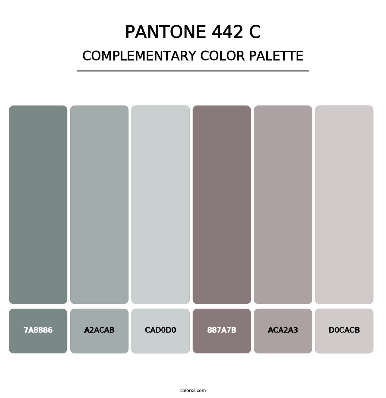 PANTONE 442 C - Complementary Color Palette