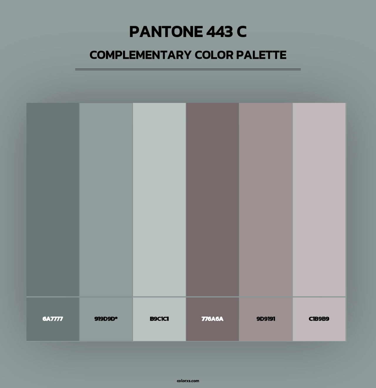 PANTONE 443 C - Complementary Color Palette