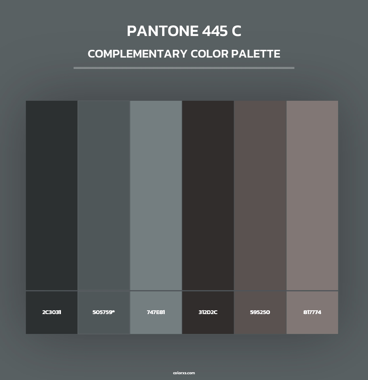 PANTONE 445 C - Complementary Color Palette